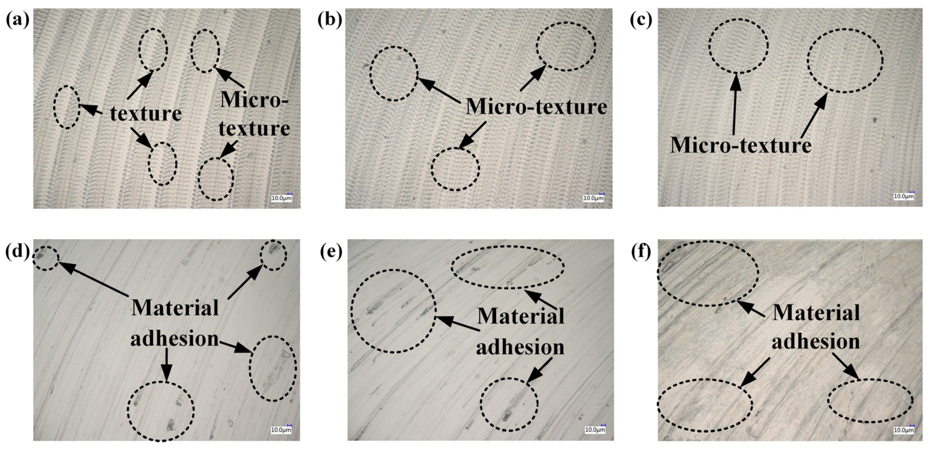 Coatings 14 00719 g023