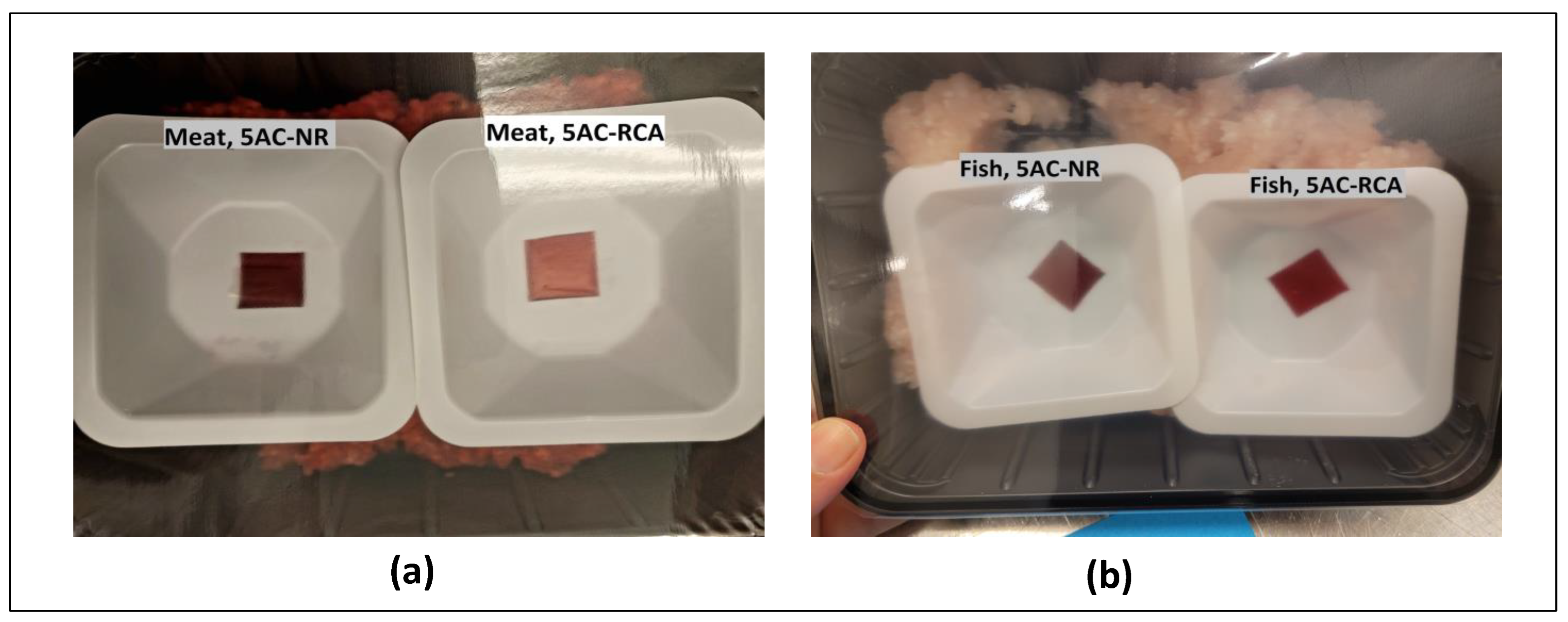 Coatings 14 00725 g001