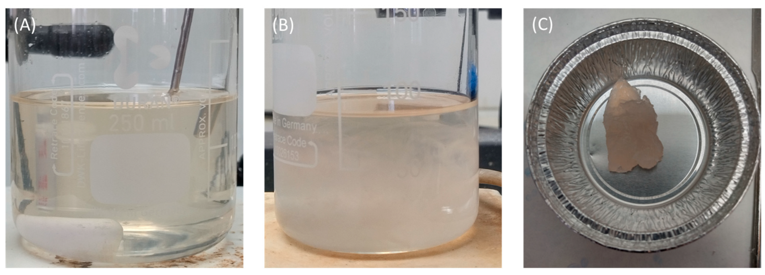 Coatings 14 00731 g006