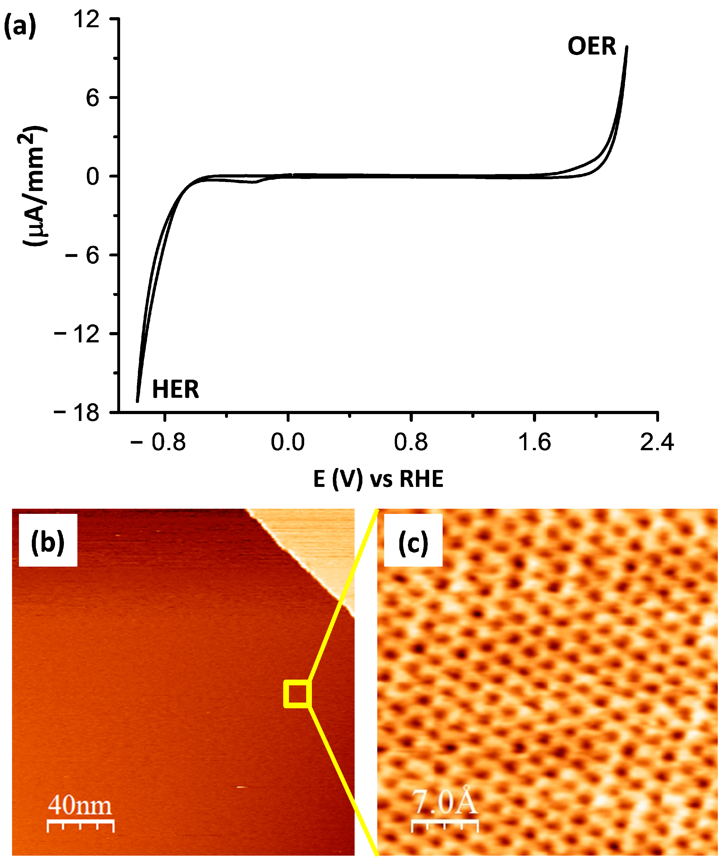 Coatings 14 00745 g001