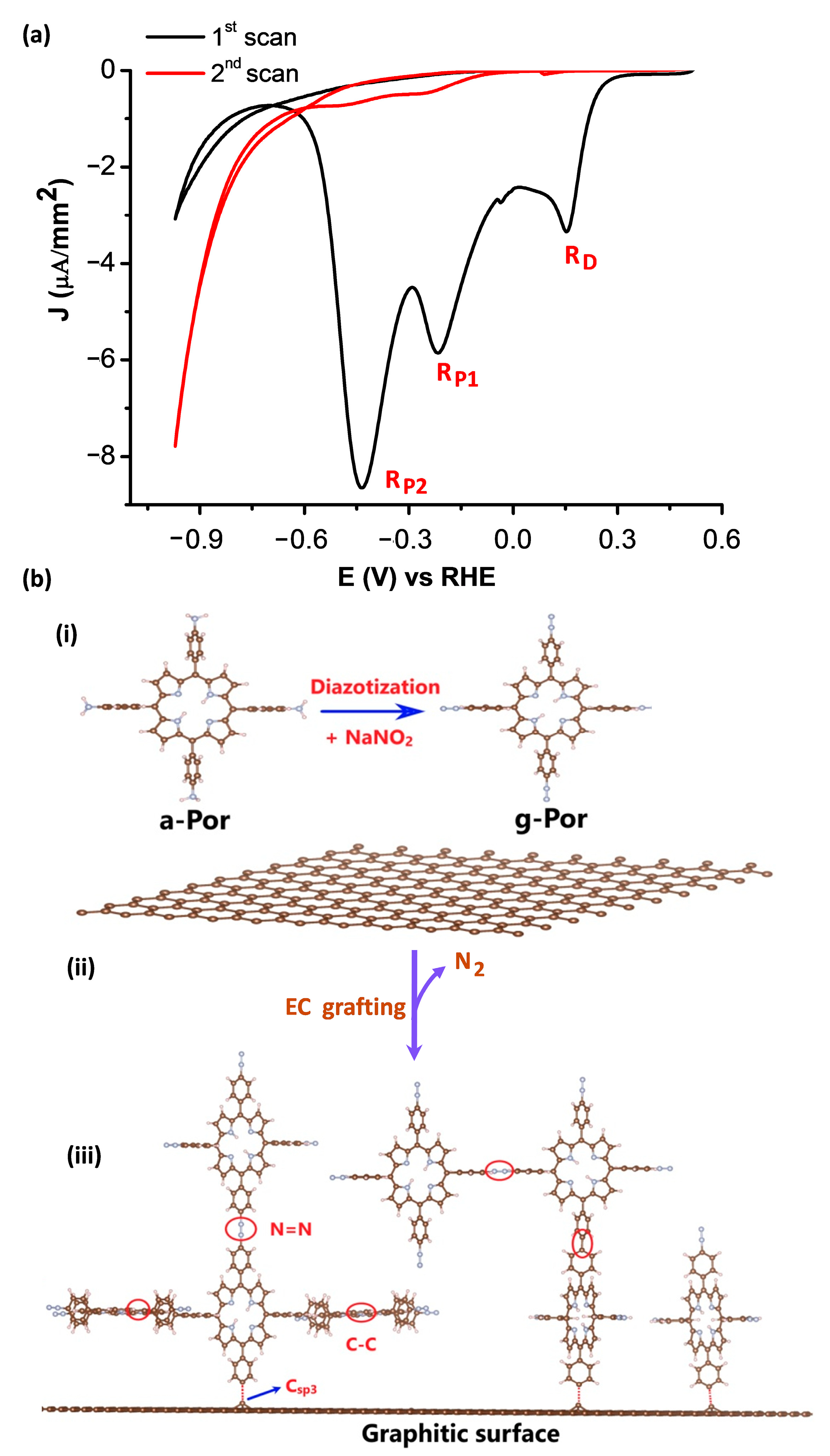 Coatings 14 00745 g002
