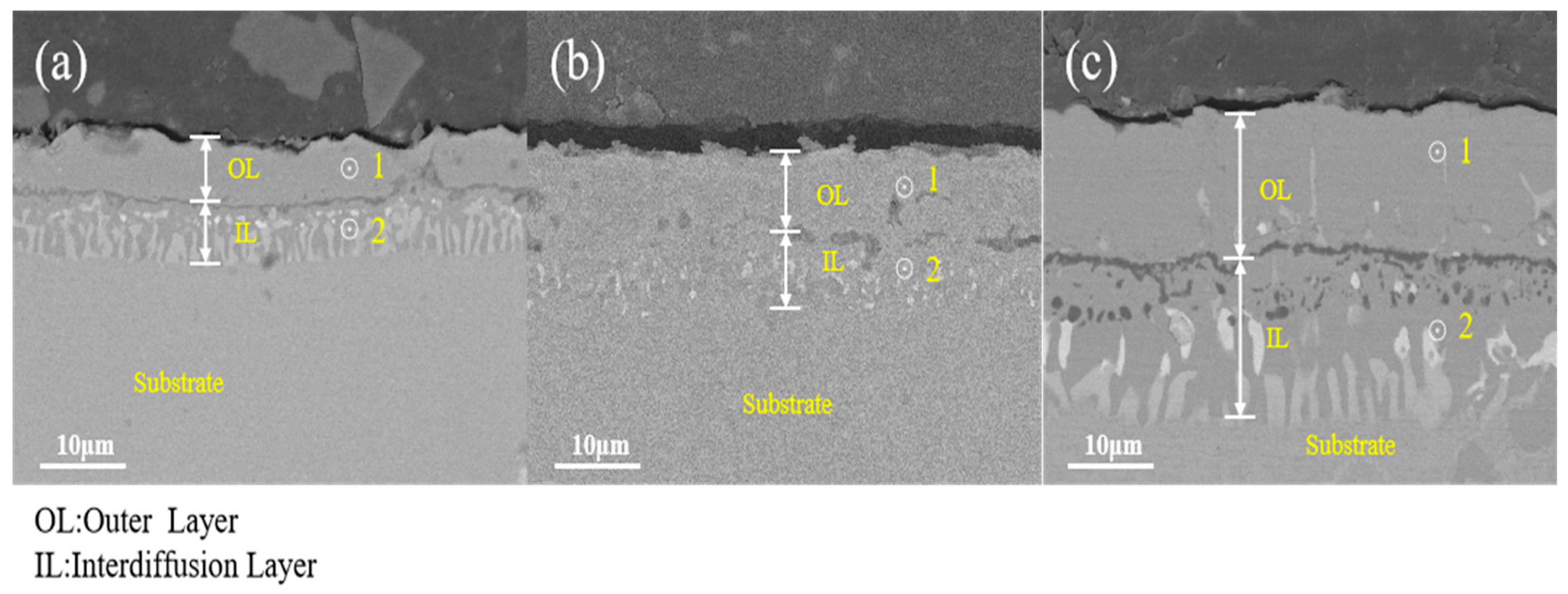 Coatings 14 00750 g004
