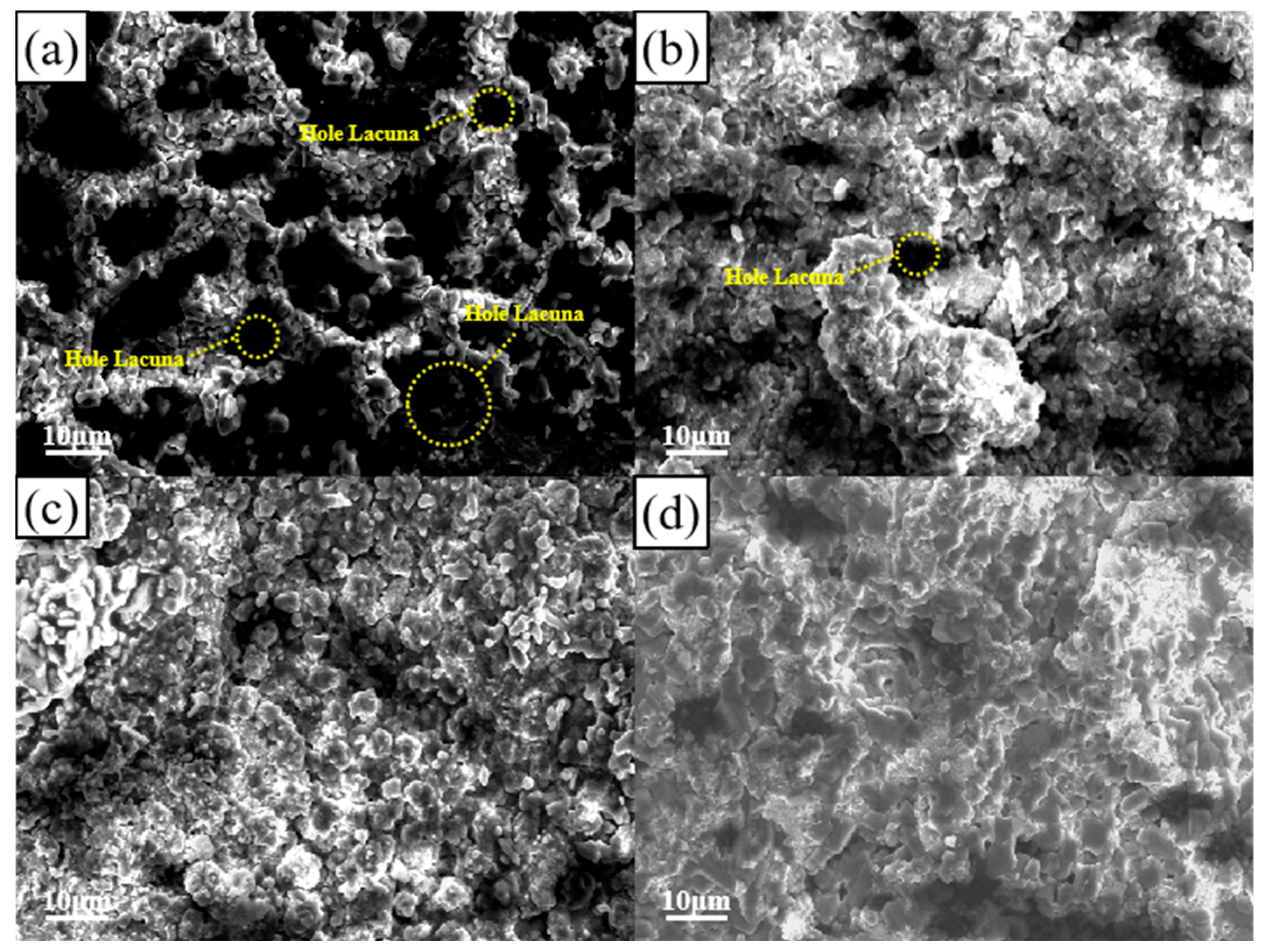 Coatings 14 00750 g009