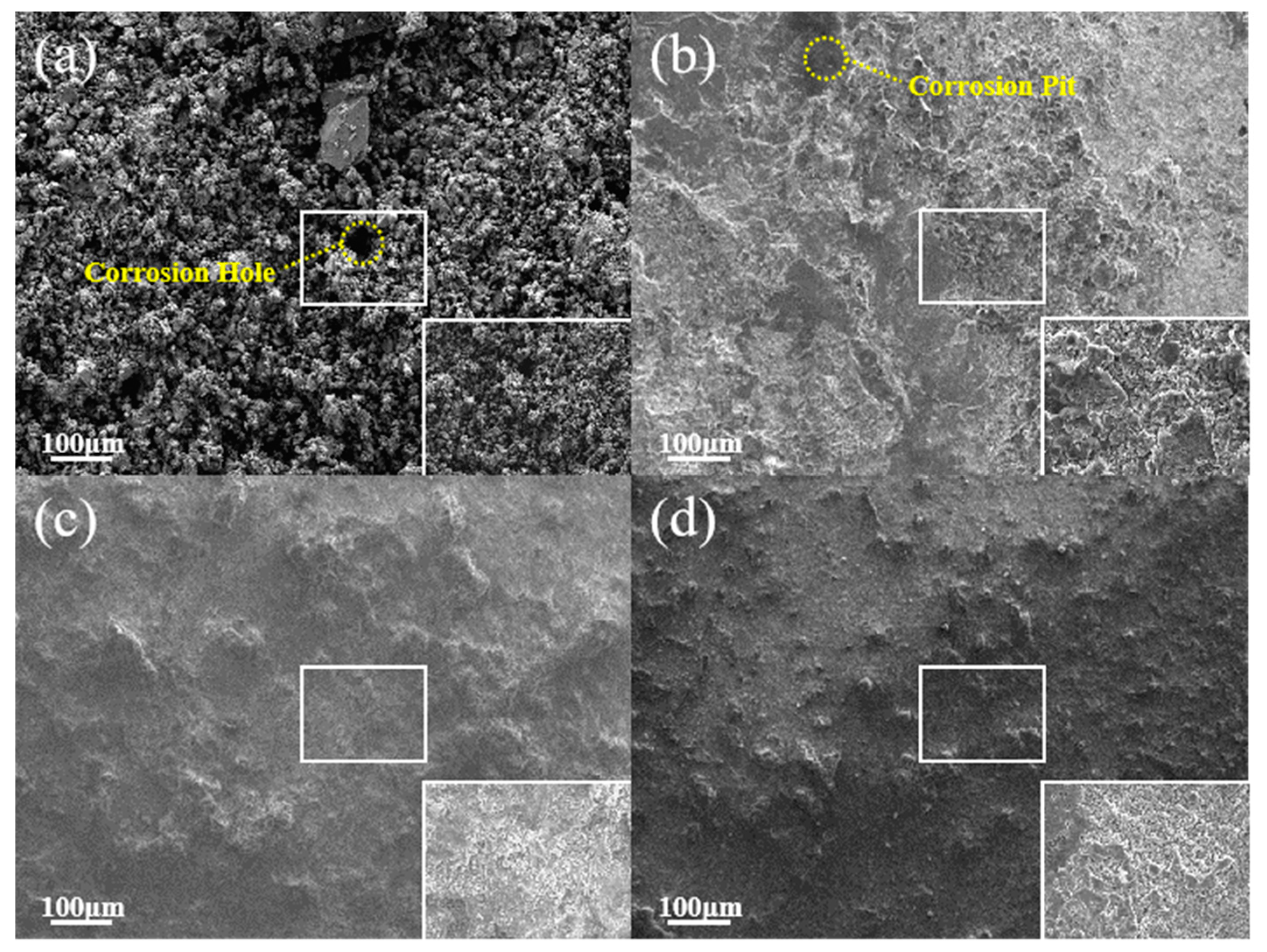 Coatings 14 00750 g014