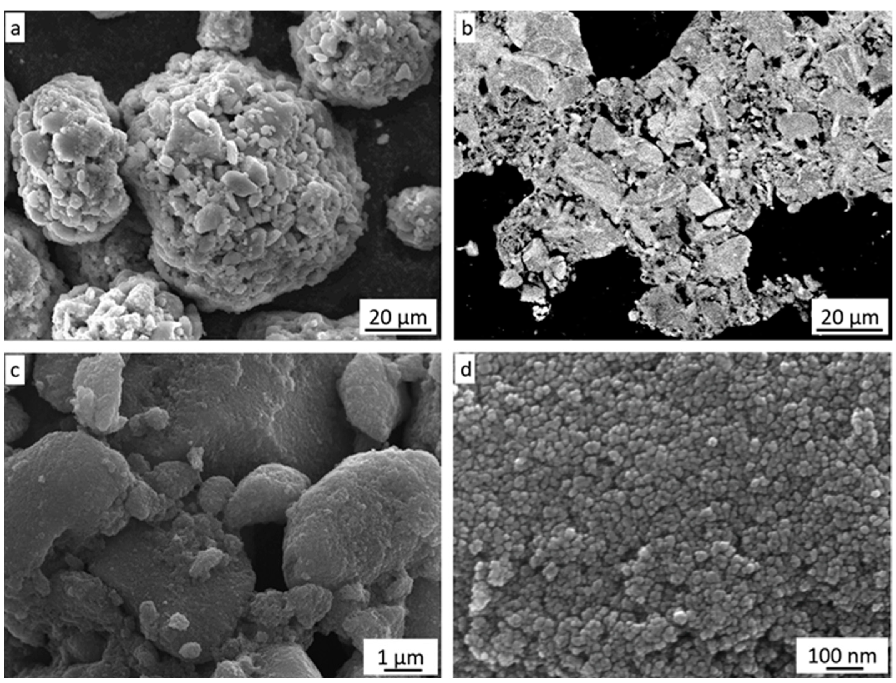Coatings 14 00752 g004