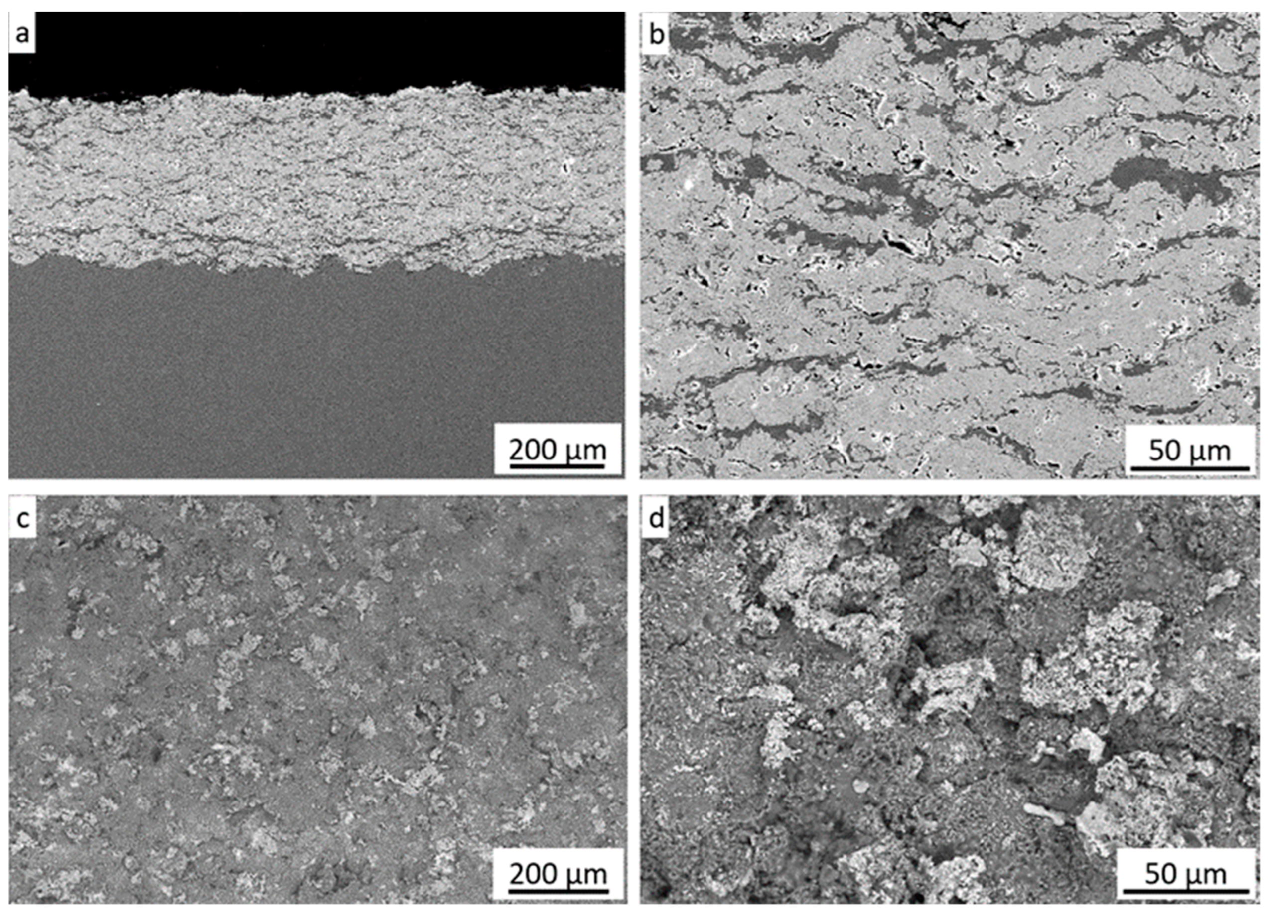 Coatings 14 00752 g006