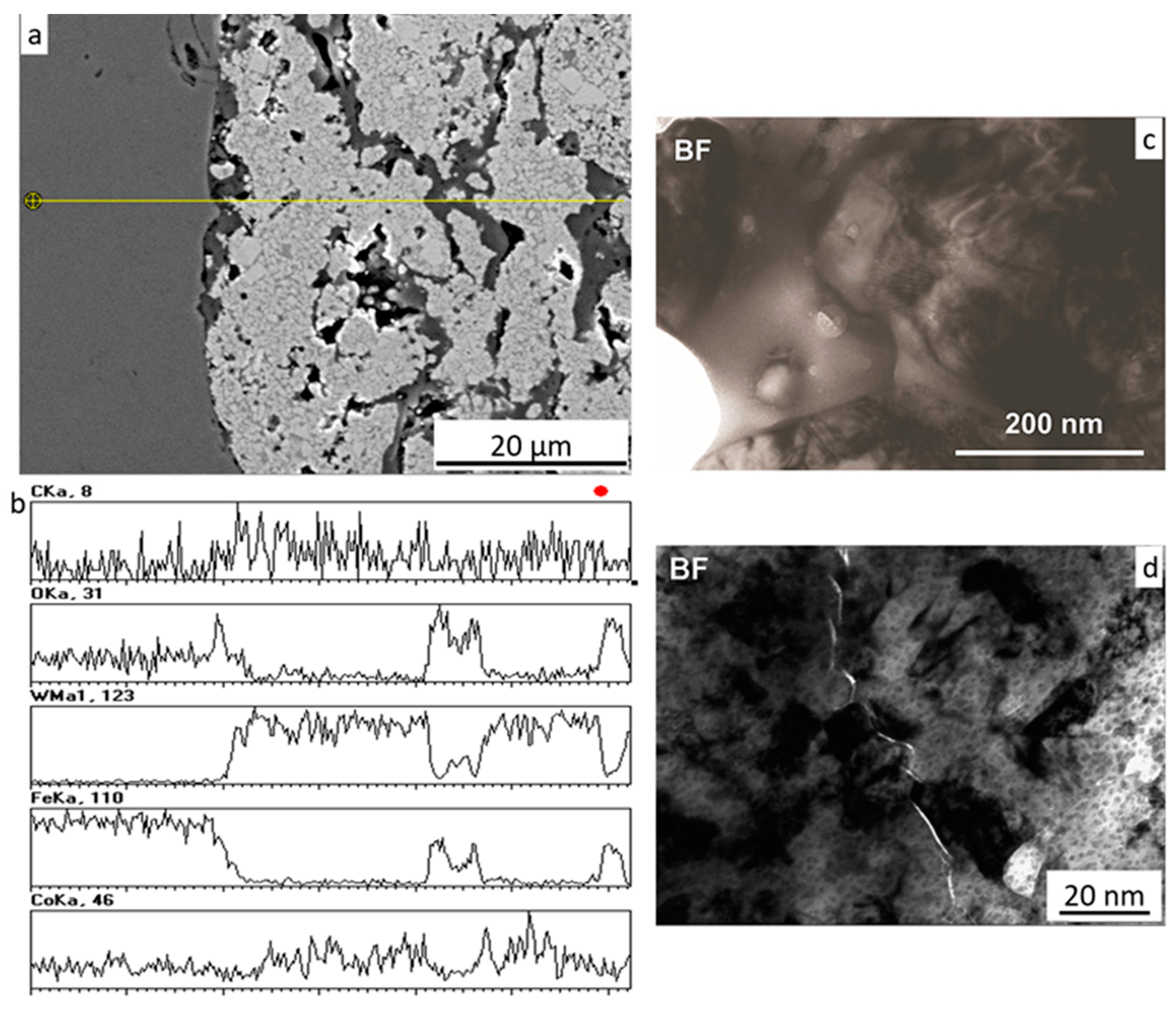 Coatings 14 00752 g007