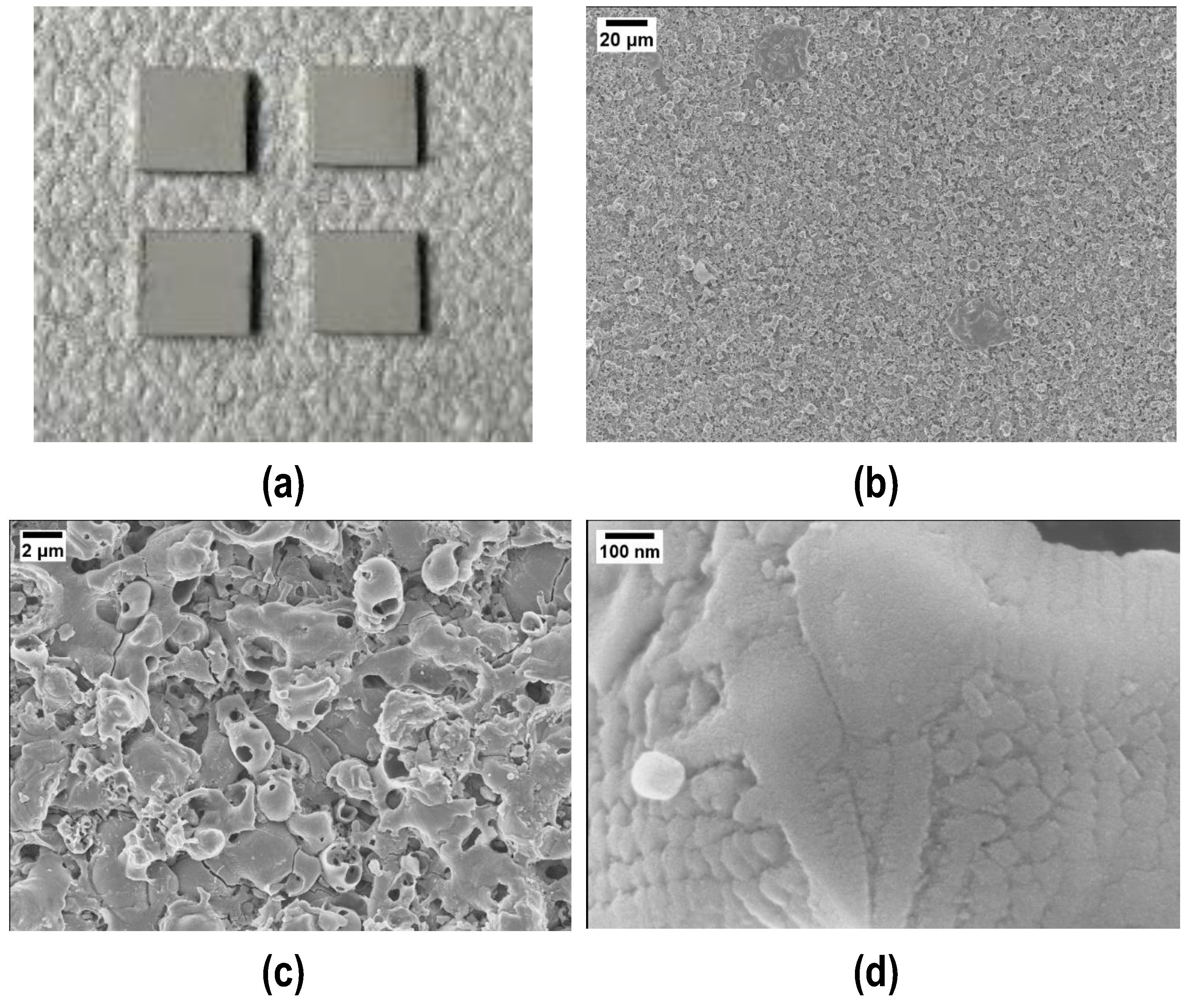 Coatings 14 00757 g001