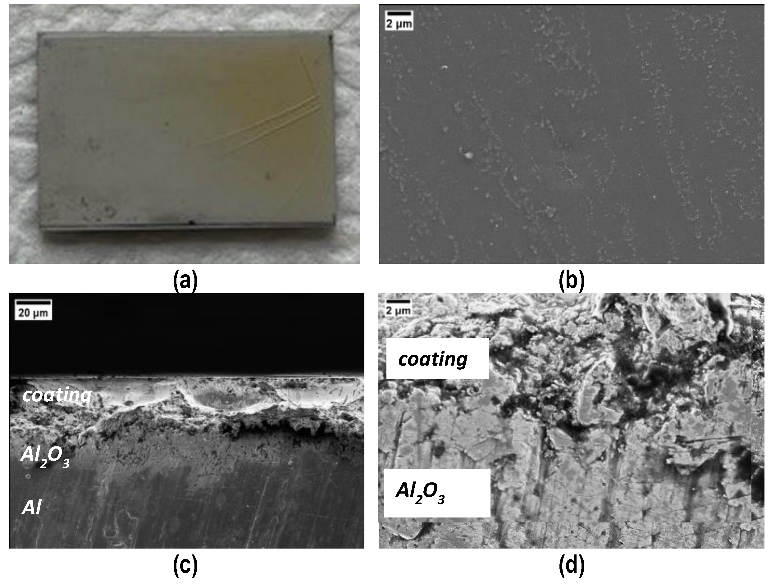 Coatings 14 00757 g004