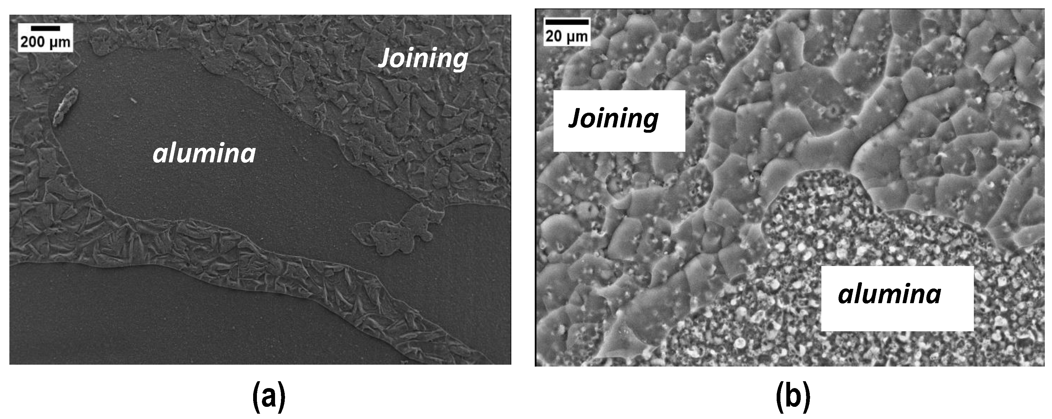 Coatings 14 00757 g007
