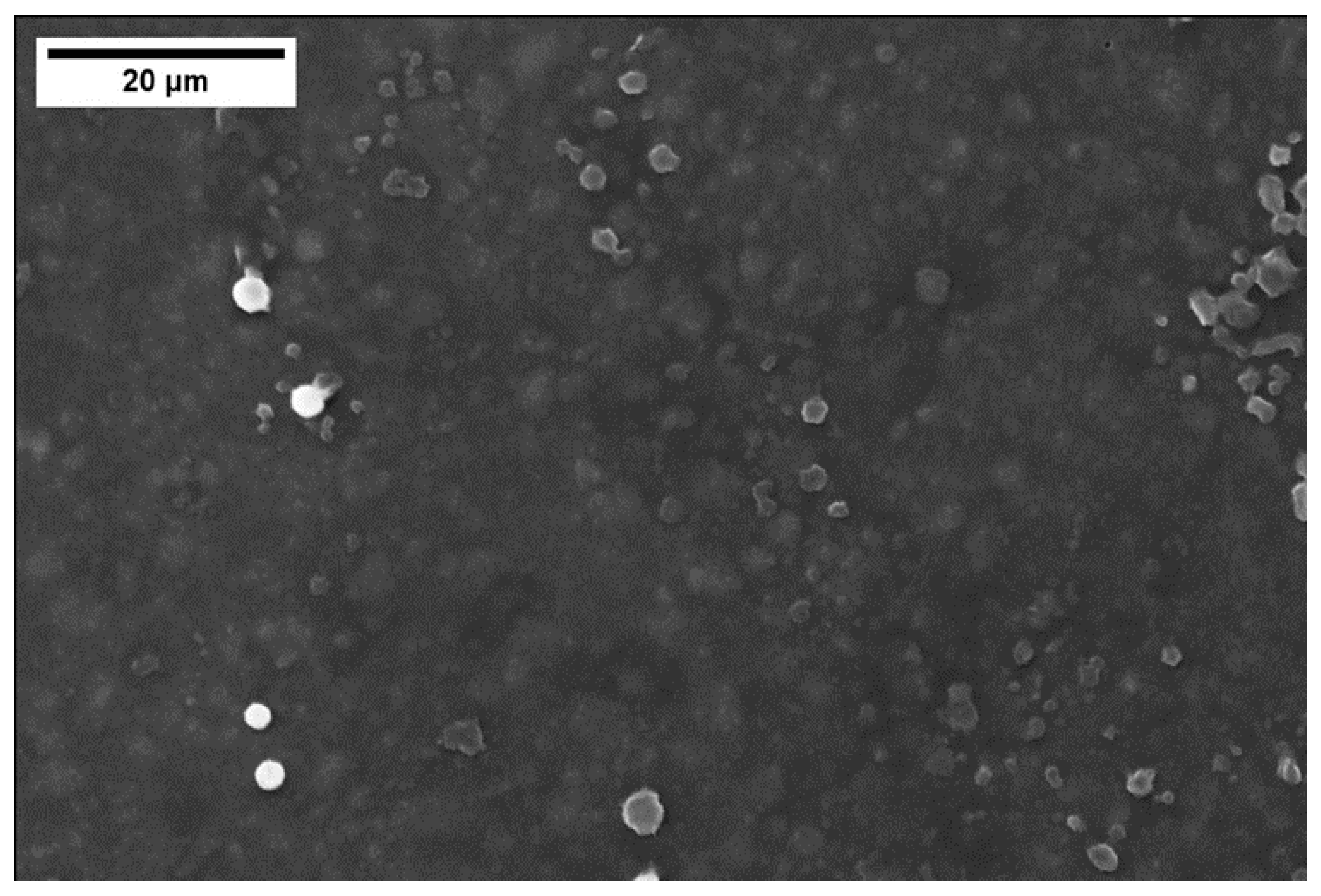 Coatings 14 00757 g009