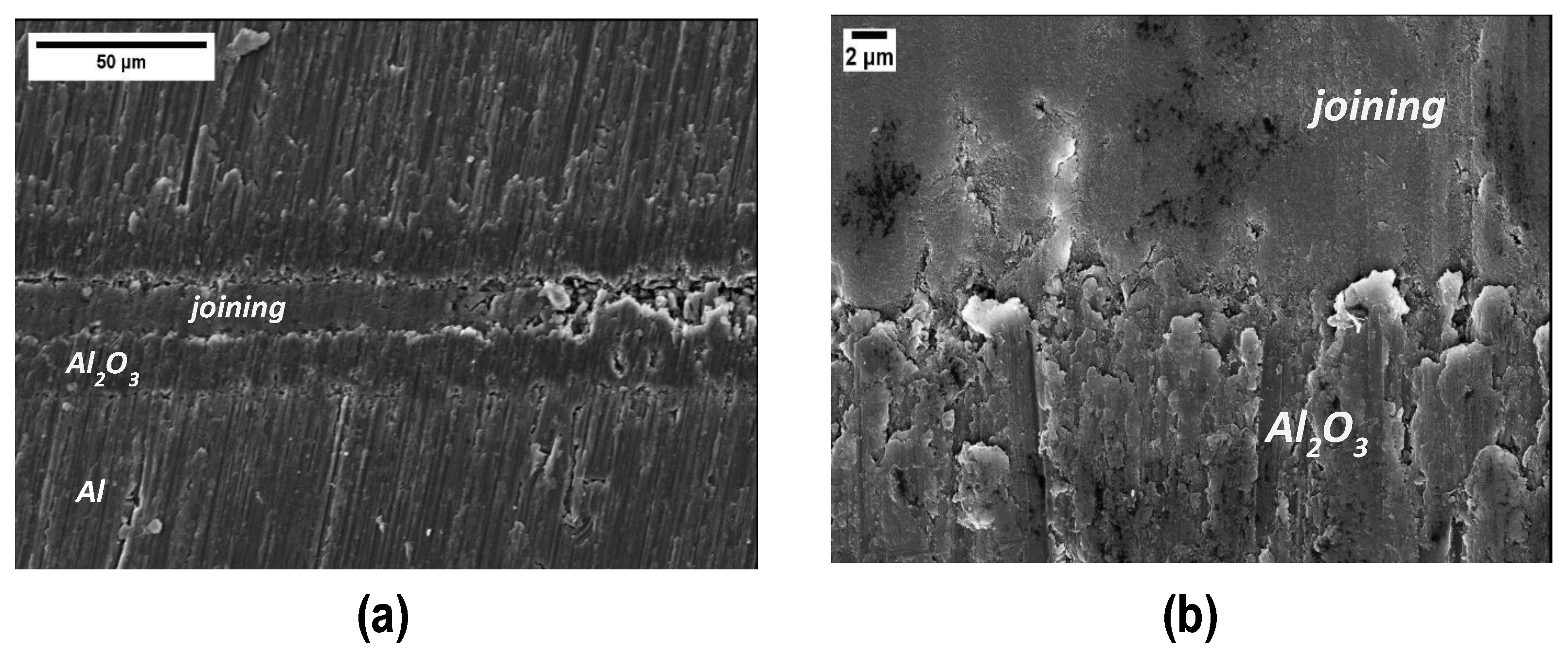 Coatings 14 00757 g010