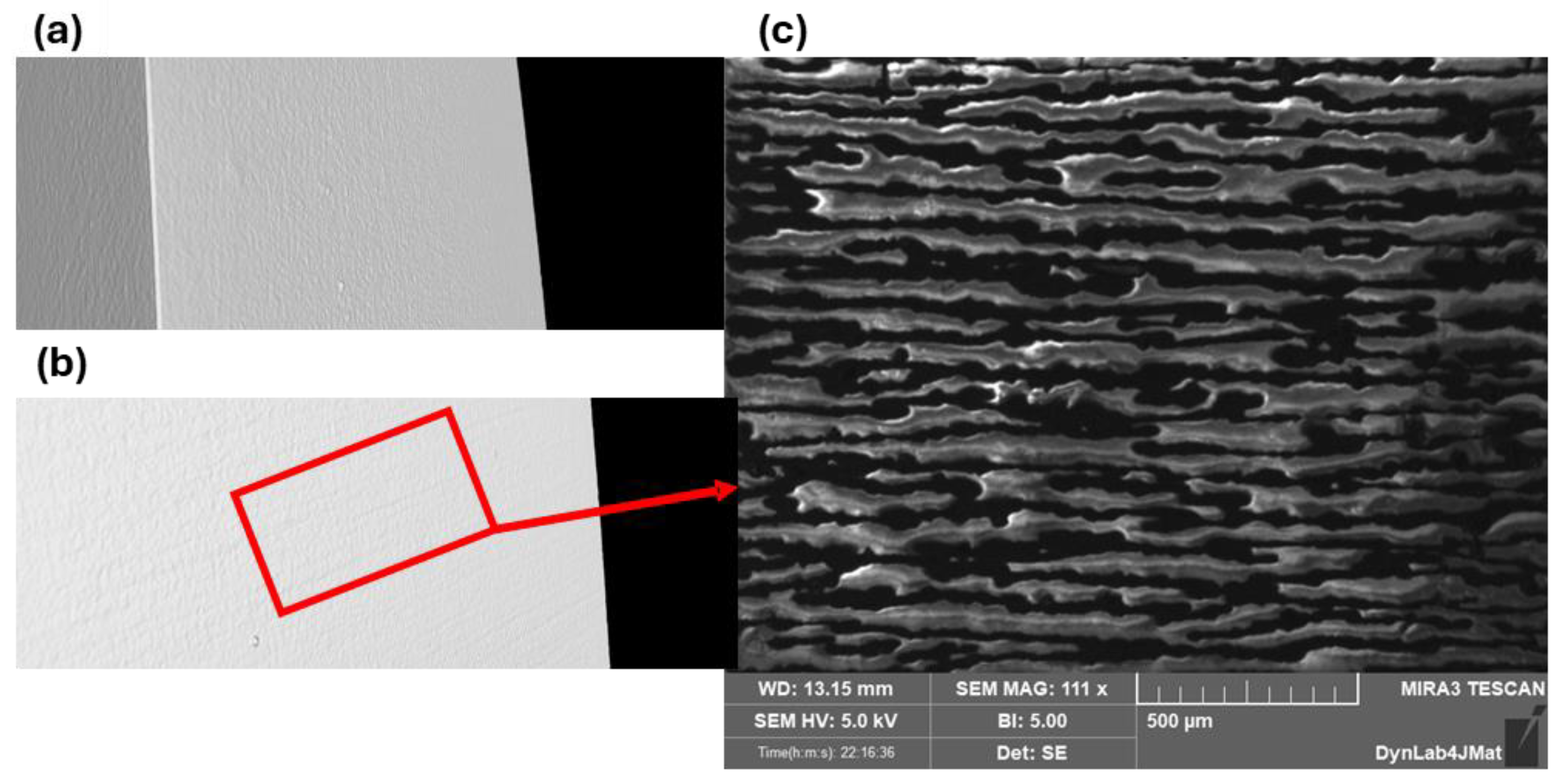 Coatings 14 00757 g015