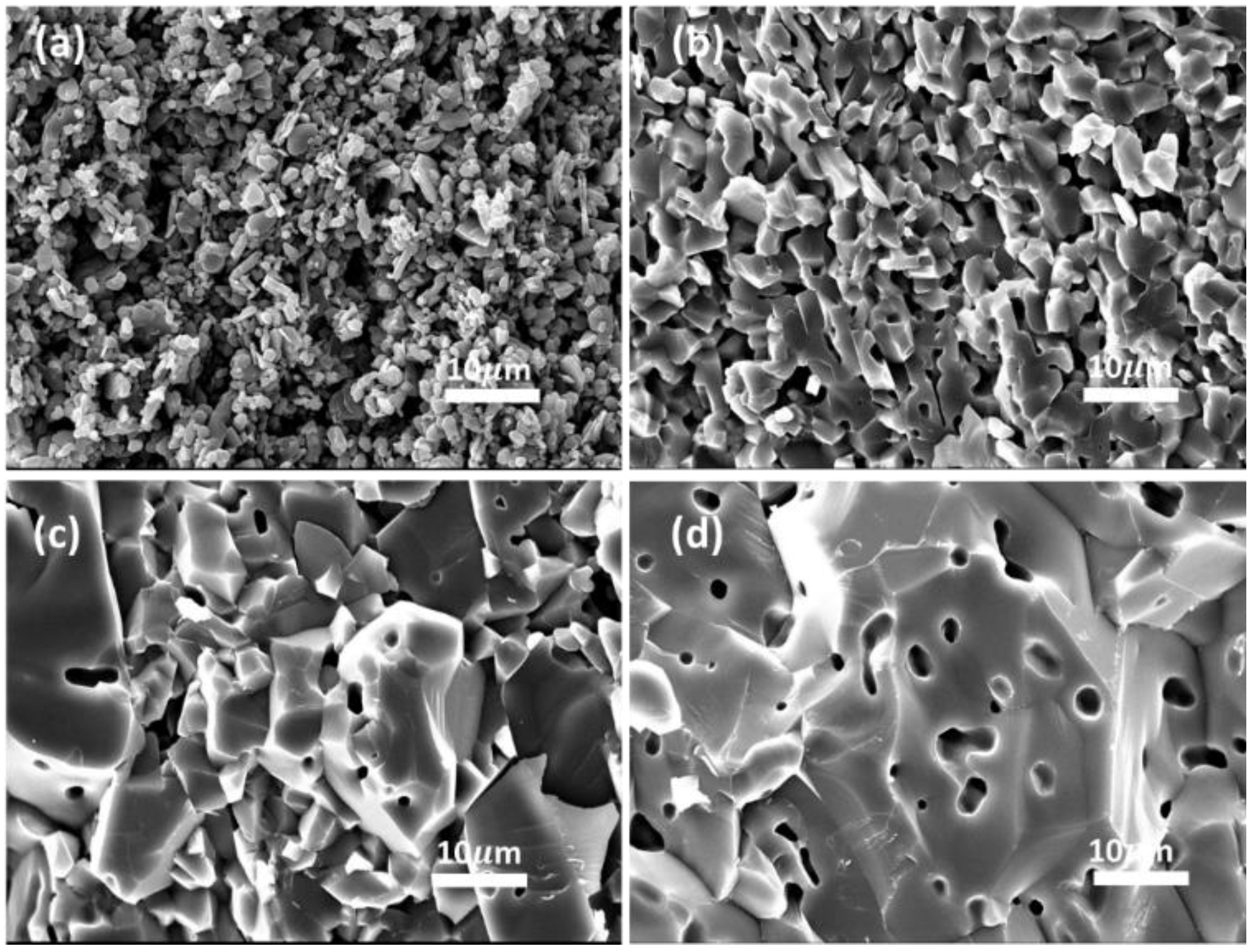 Coatings 14 00767 g004 Coatings 14 00767 g004