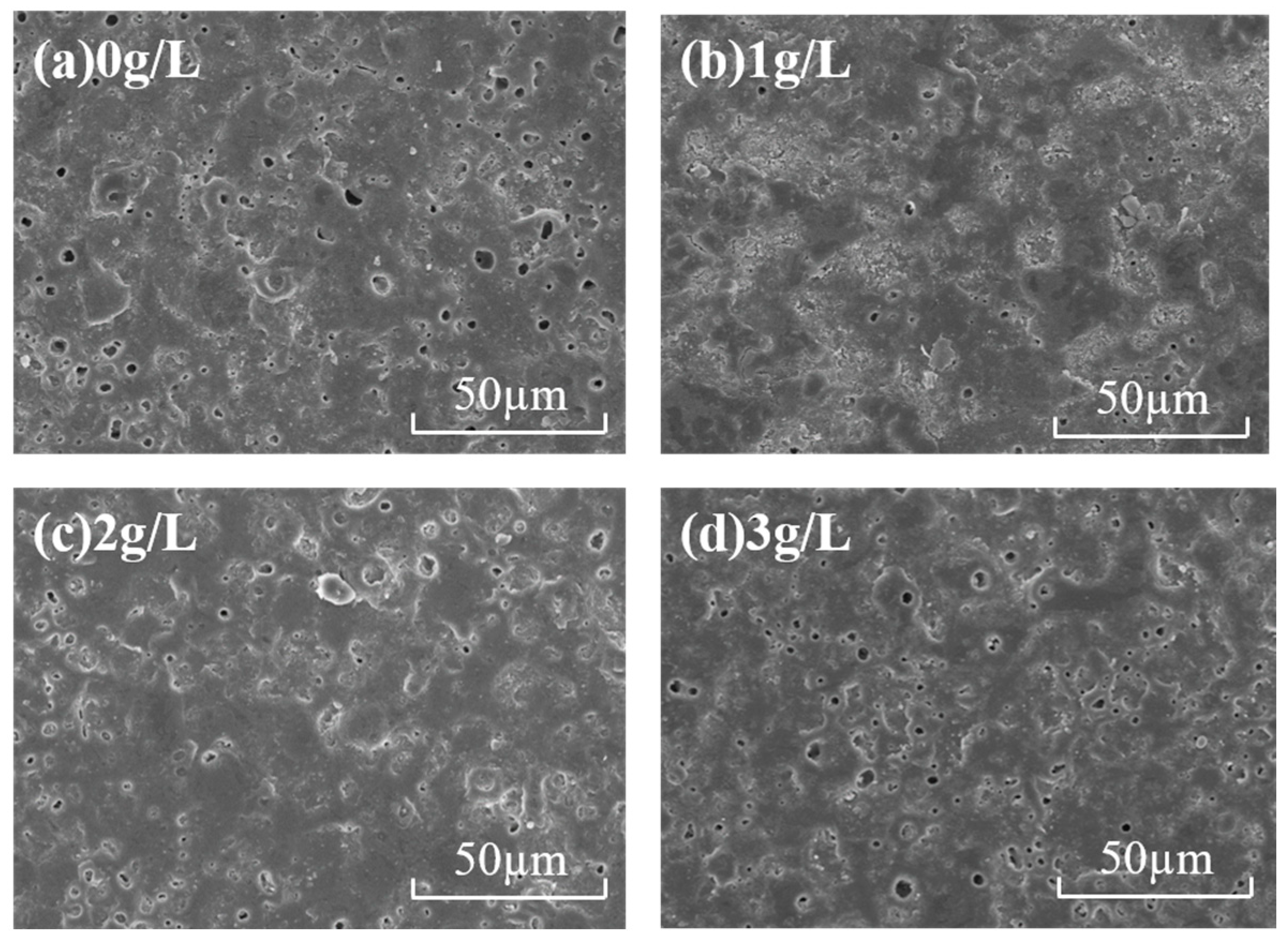 Coatings 14 00771 g003