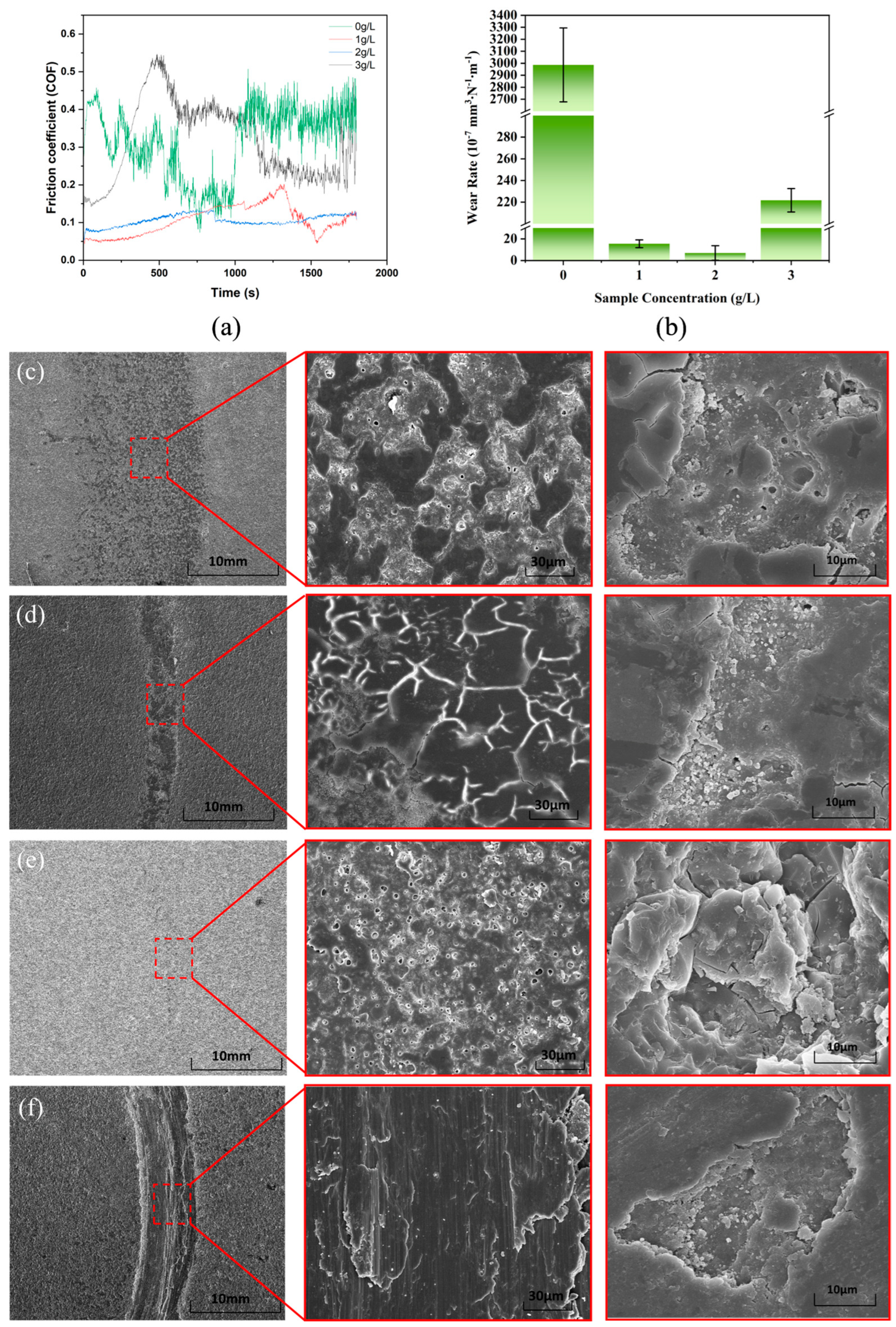 Coatings 14 00771 g008