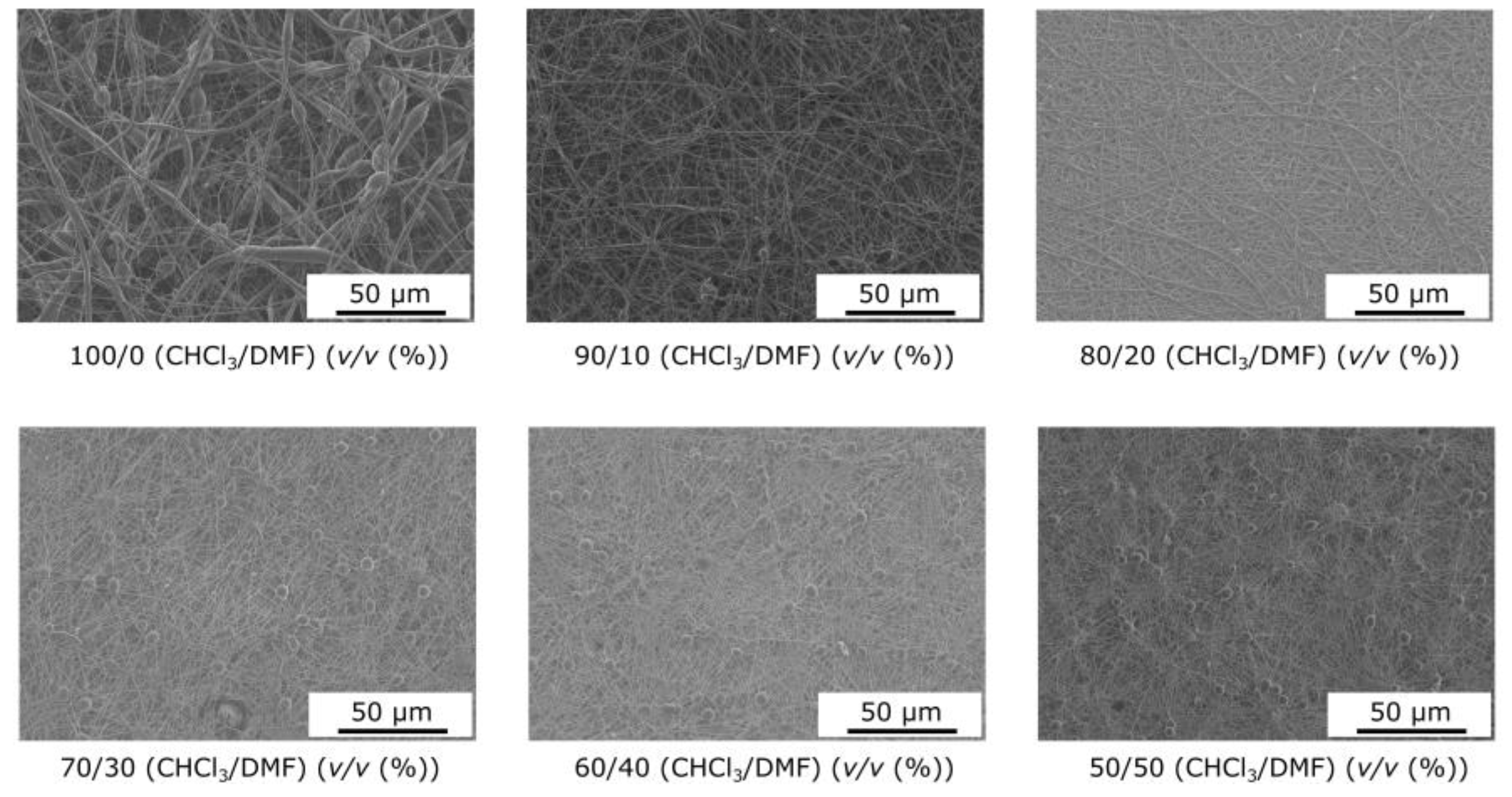 Coatings 14 00772 g001
