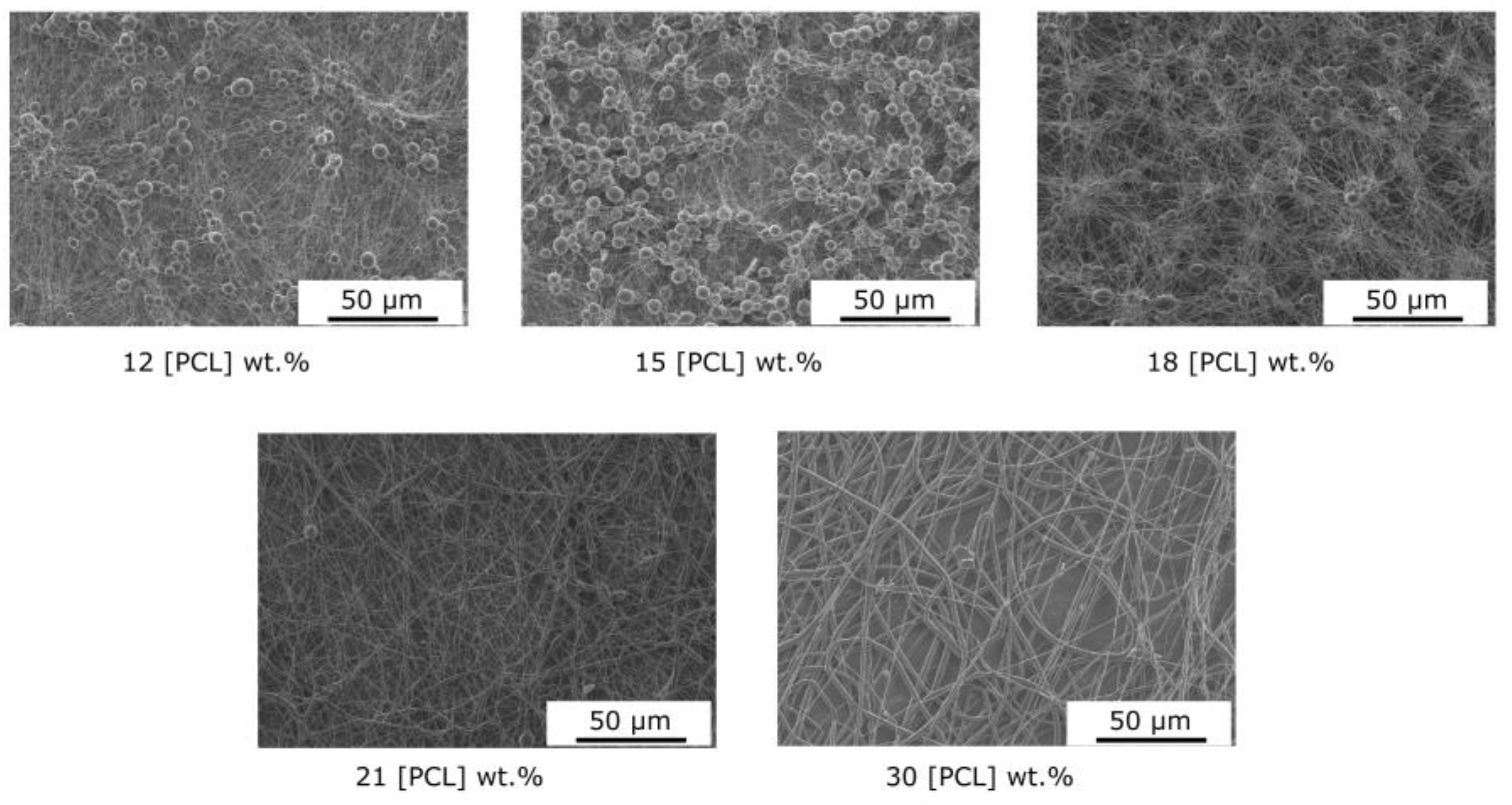 Coatings 14 00772 g003
