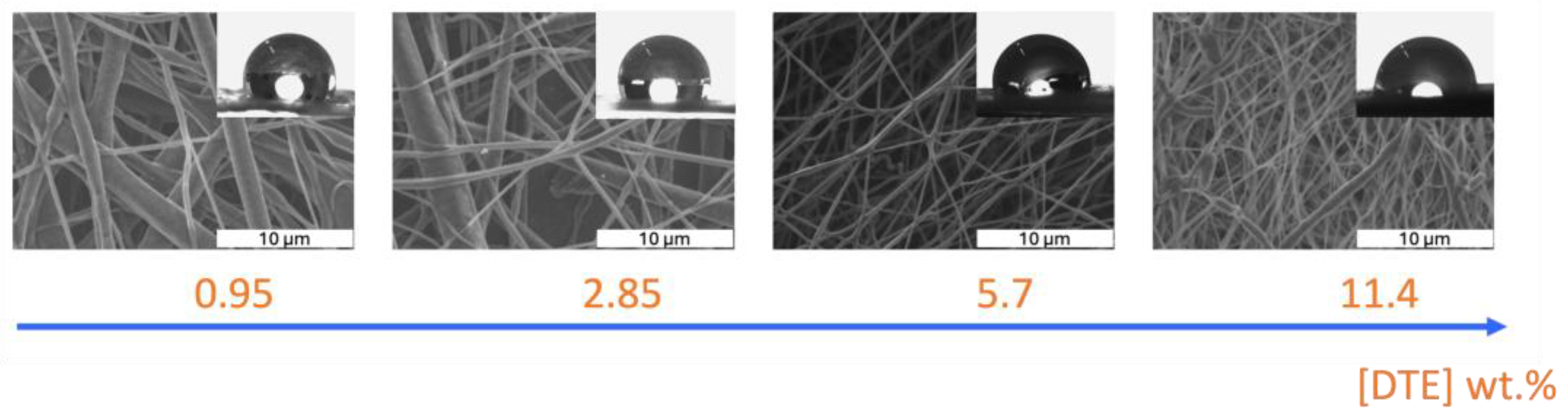 Coatings 14 00772 g005