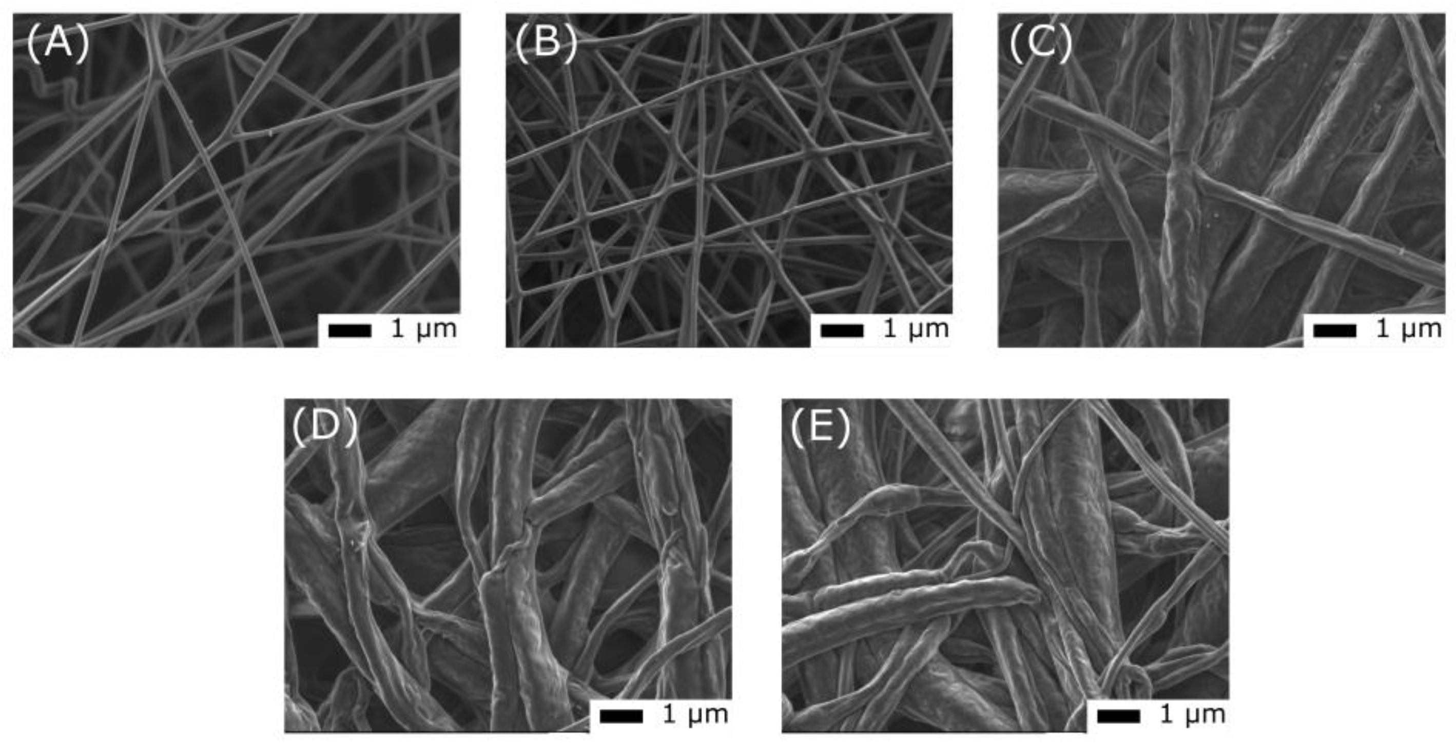 Coatings 14 00772 g009