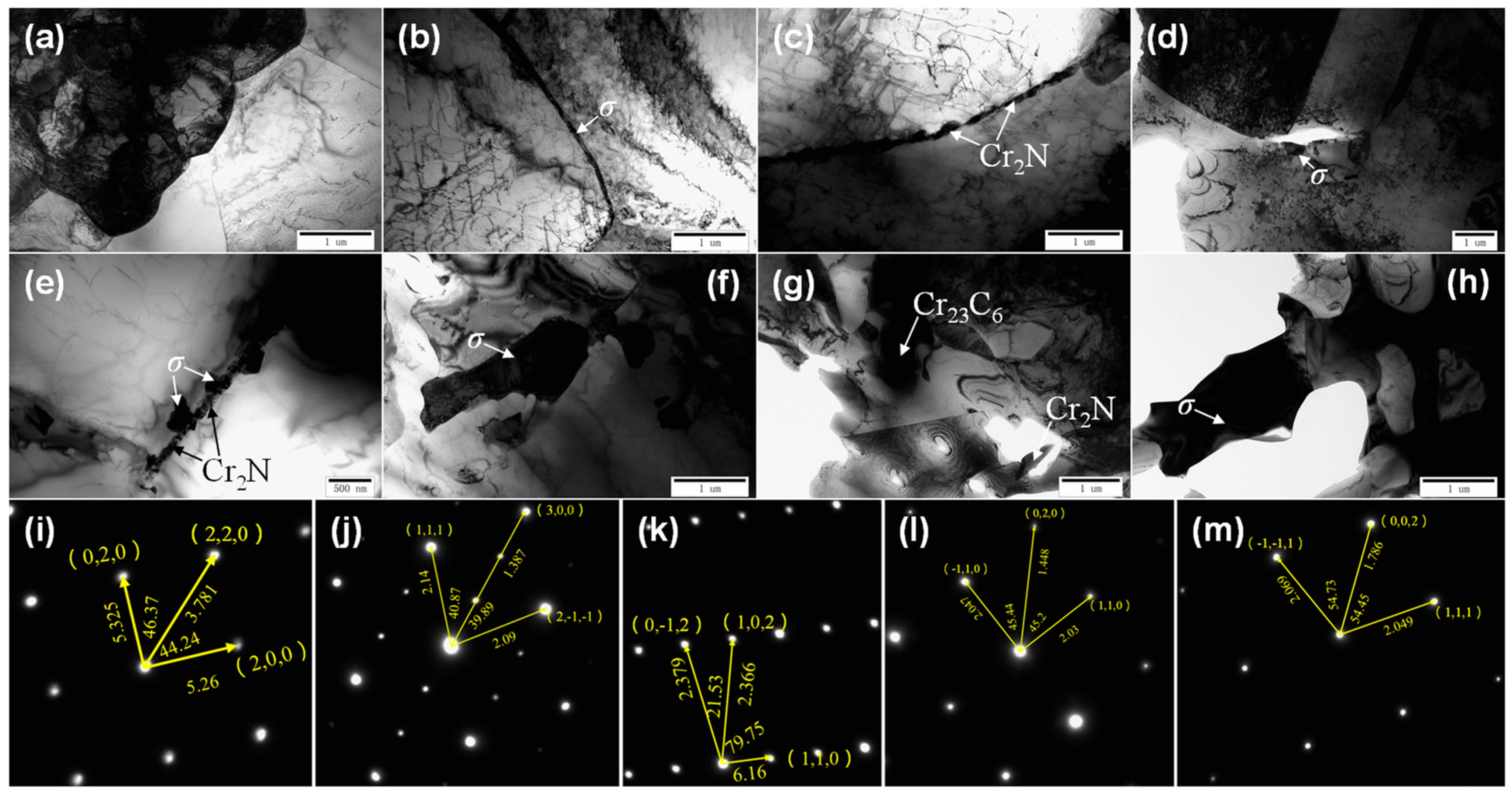 Coatings 14 00776 g002