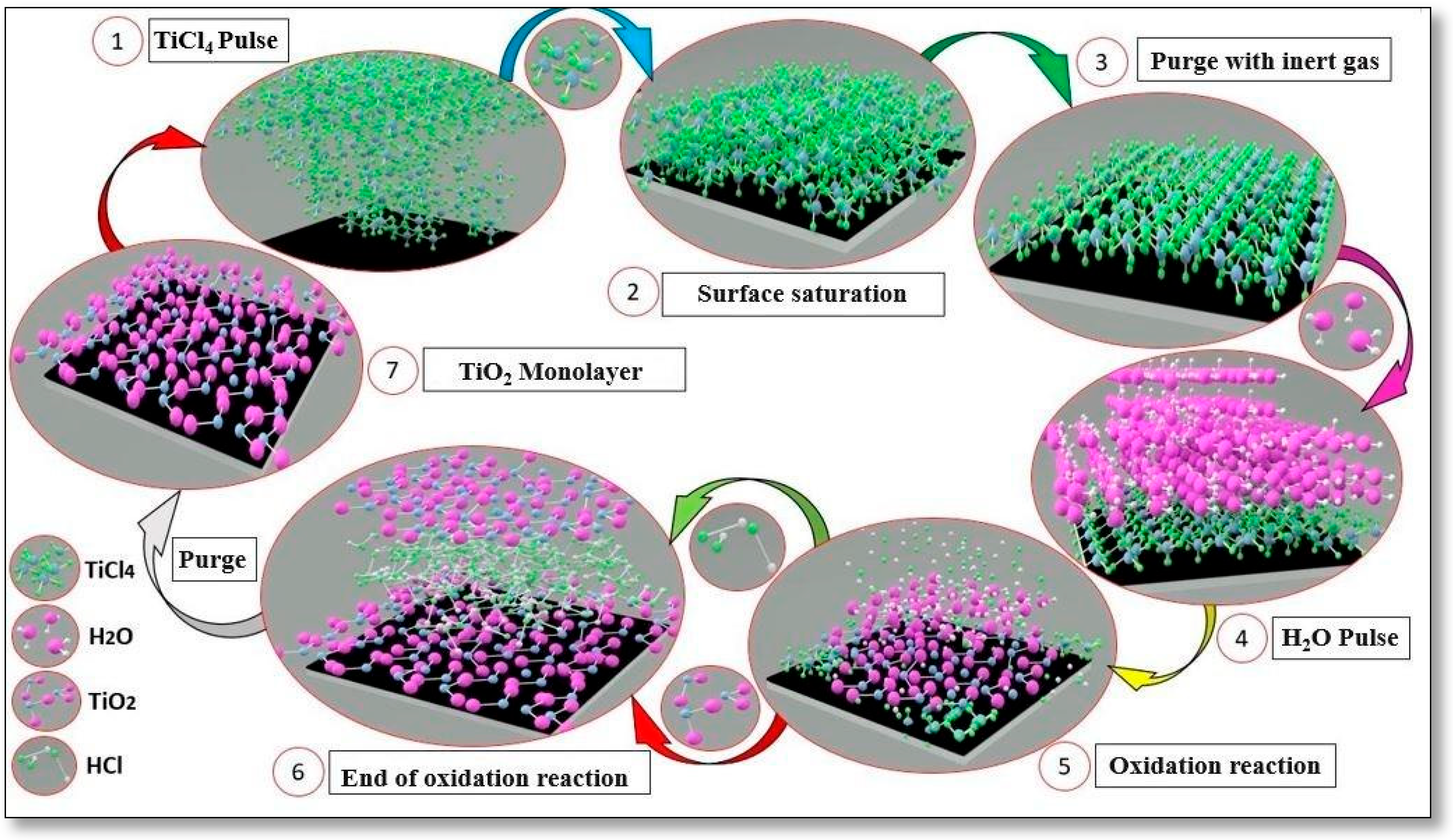 Coatings 14 00777 g002