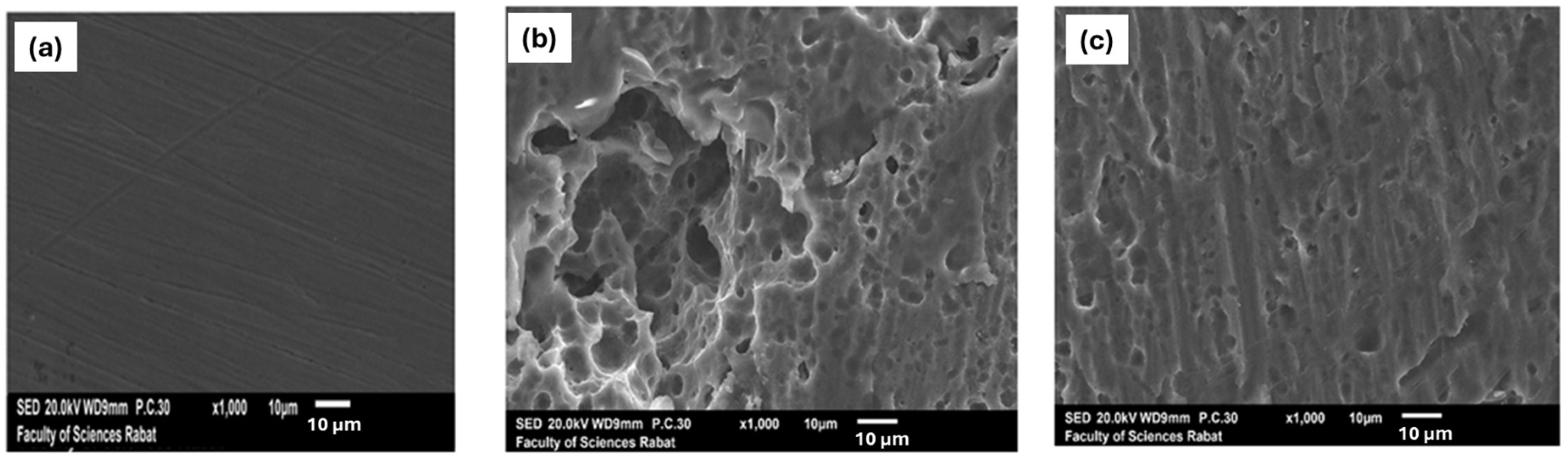 Coatings 14 00783 g008 Coatings 14 00783 g008