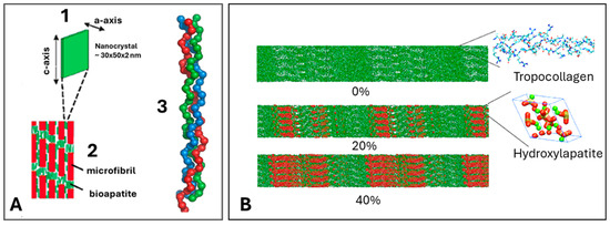 Coatings 14 00787 g003