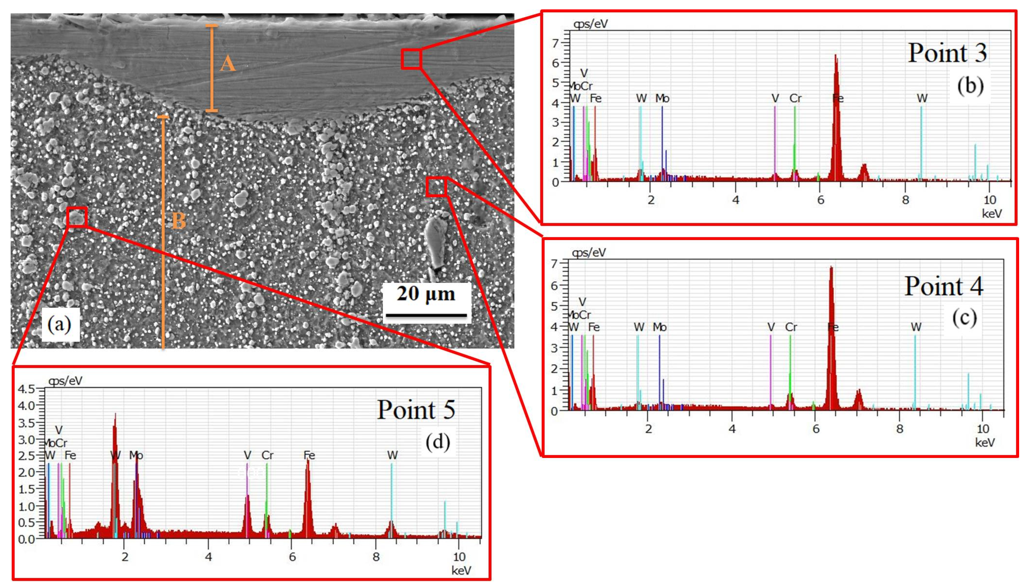 Coatings 14 00798 g005