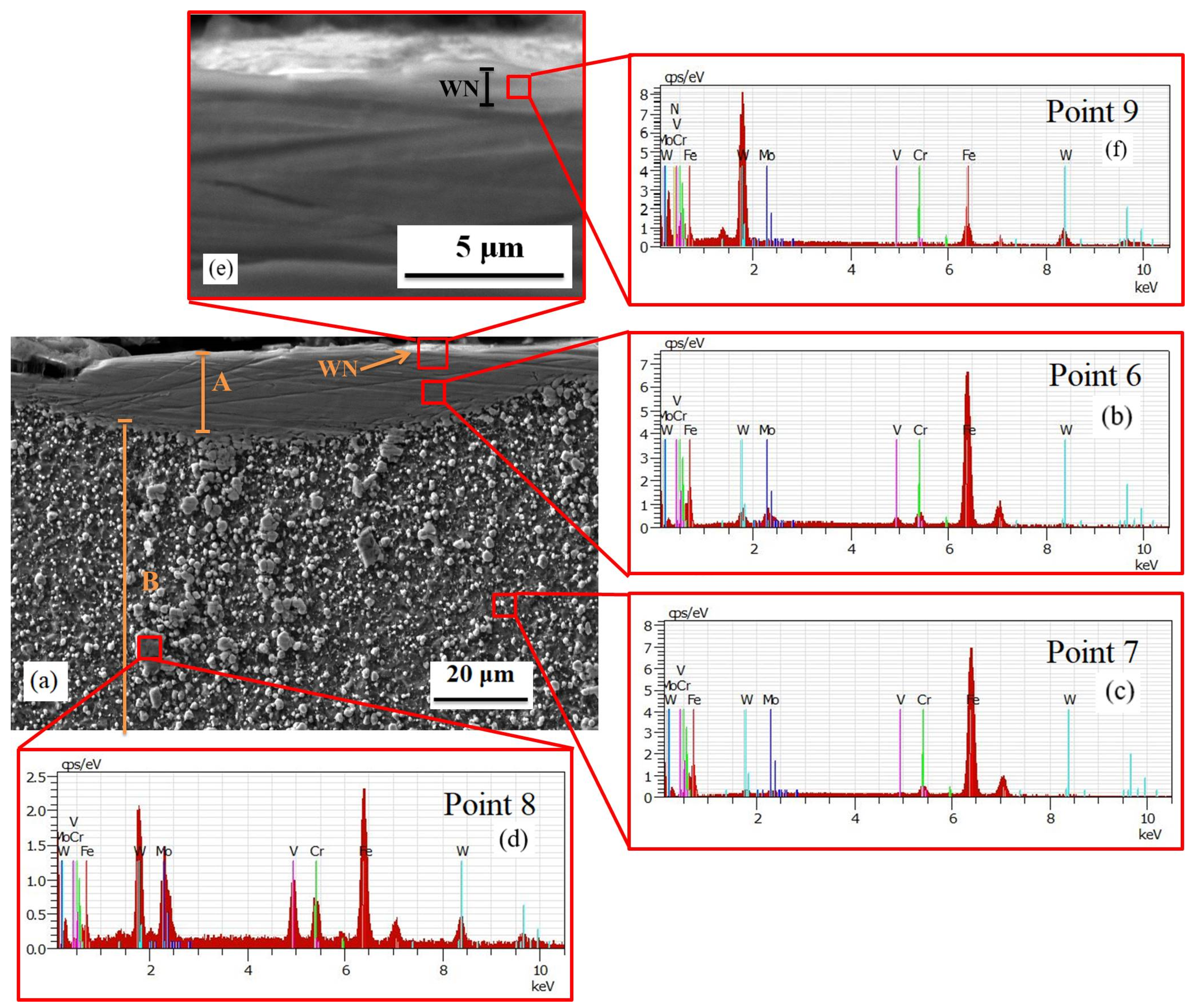 Coatings 14 00798 g006