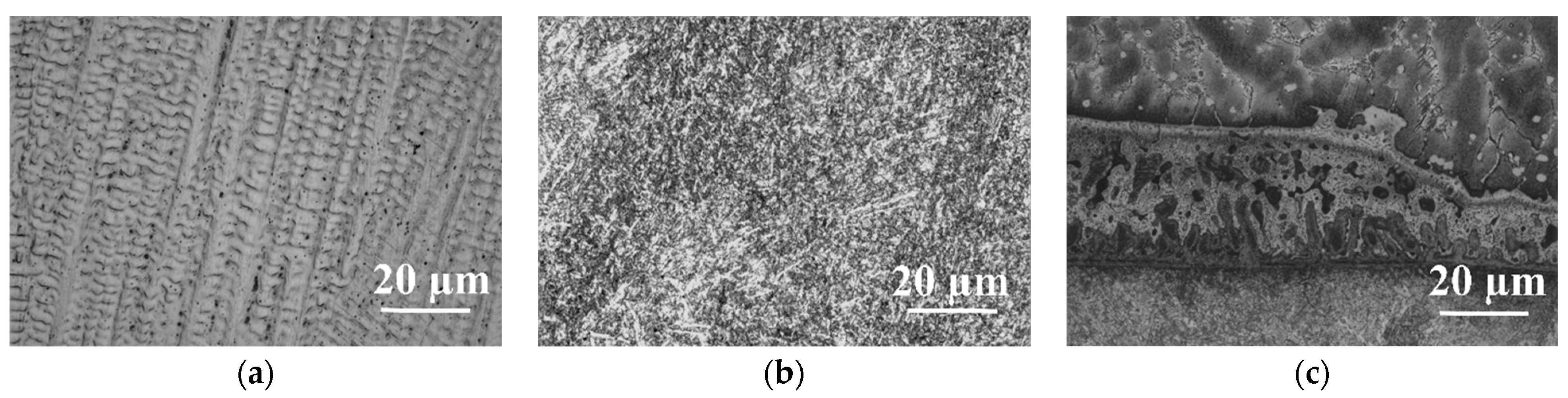 Coatings 14 00803 g005