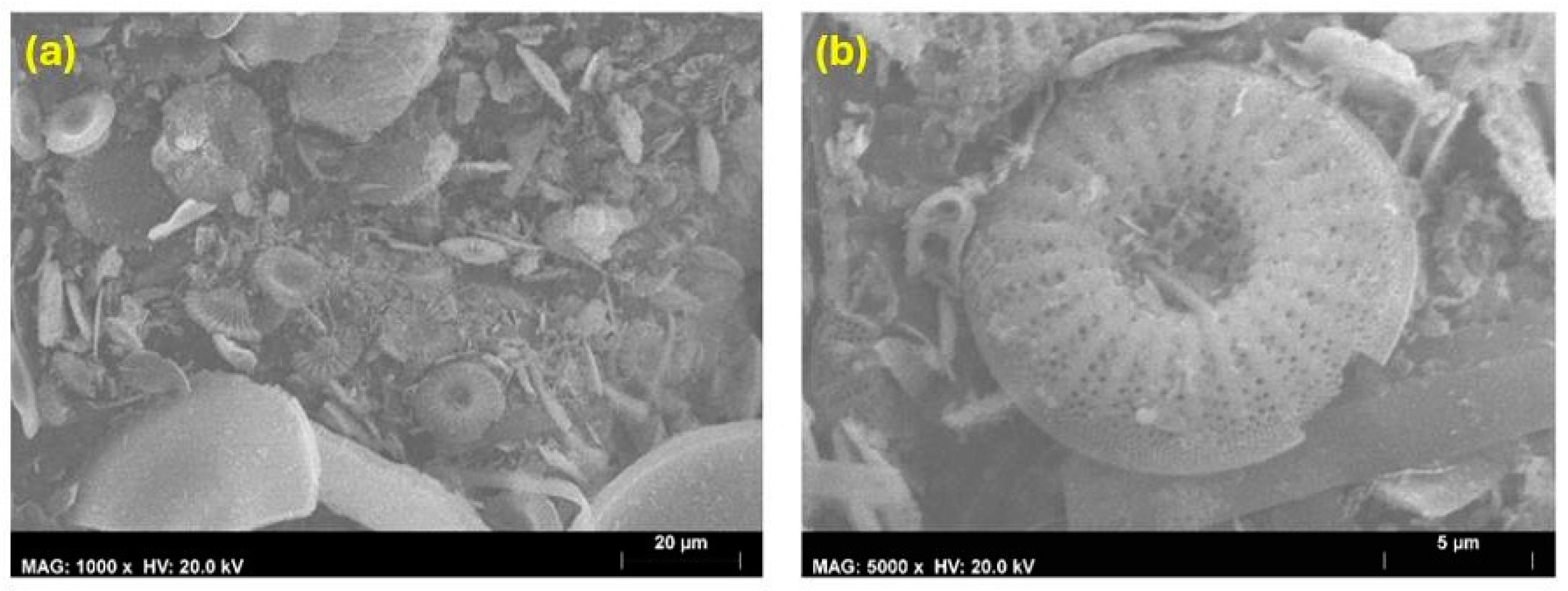 Coatings 14 00805 g008 Coatings 14 00805 g008