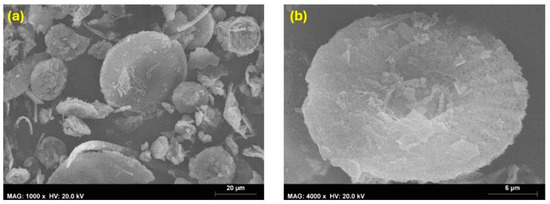 Coatings 14 00805 g009