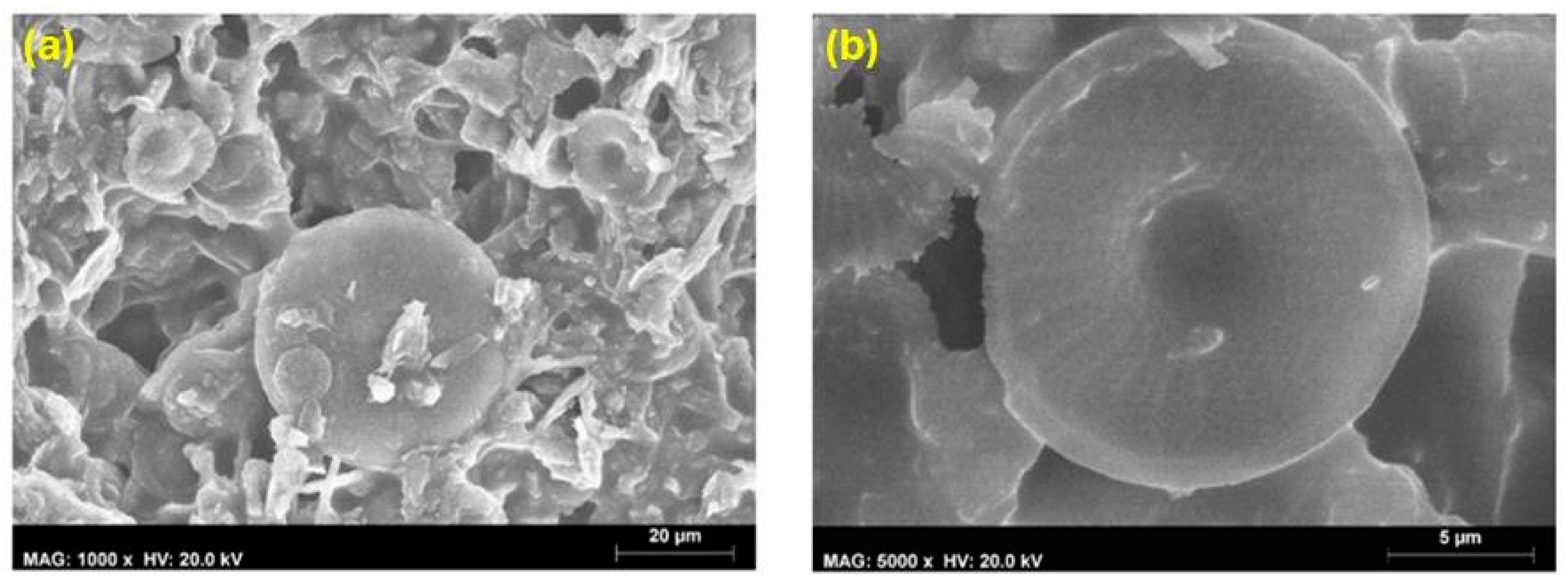 Coatings 14 00805 g010 Coatings 14 00805 g010