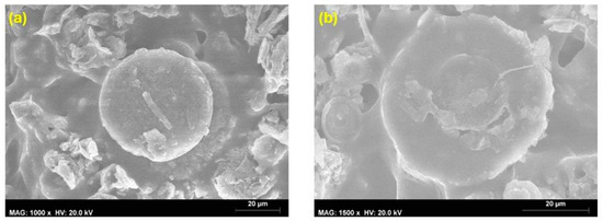 Coatings 14 00805 g011