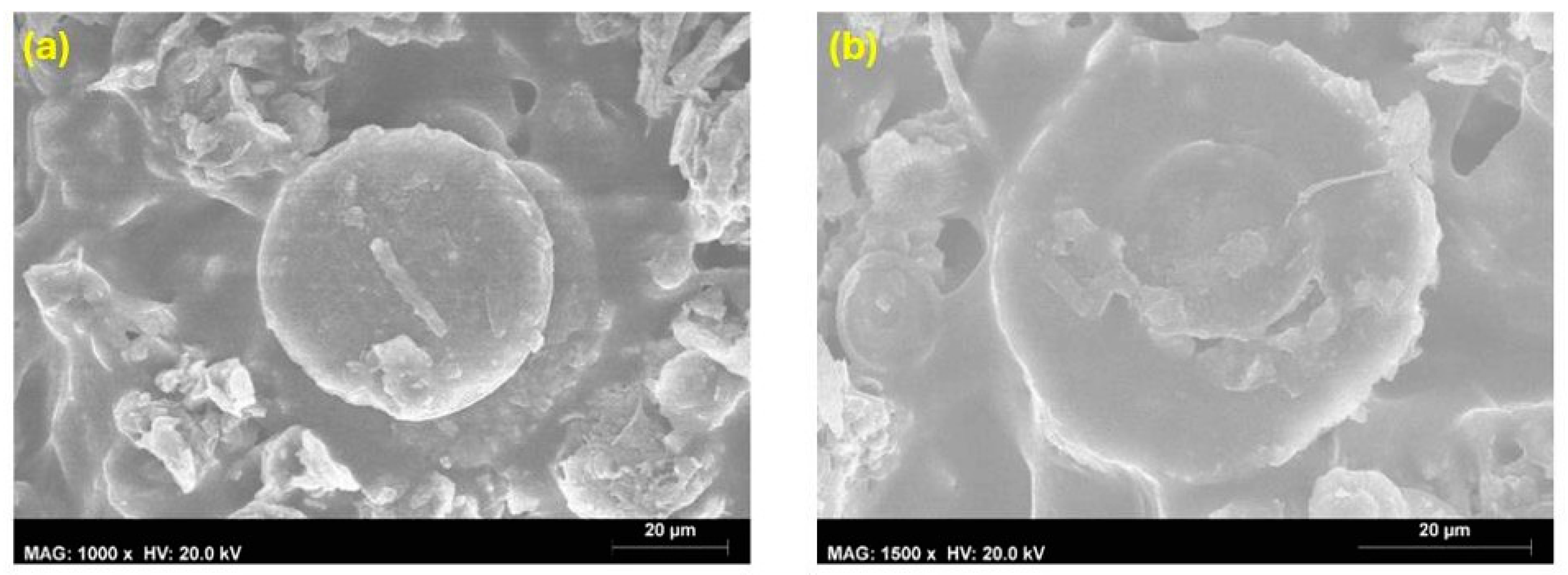 Coatings 14 00805 g011 Coatings 14 00805 g011