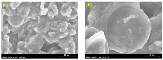 Coatings 14 00805 g012