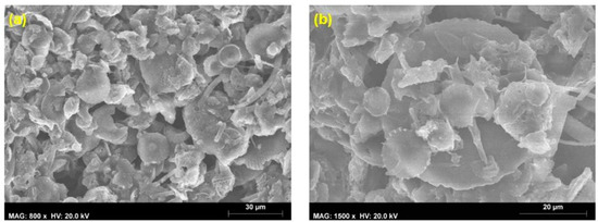 Coatings 14 00805 g013