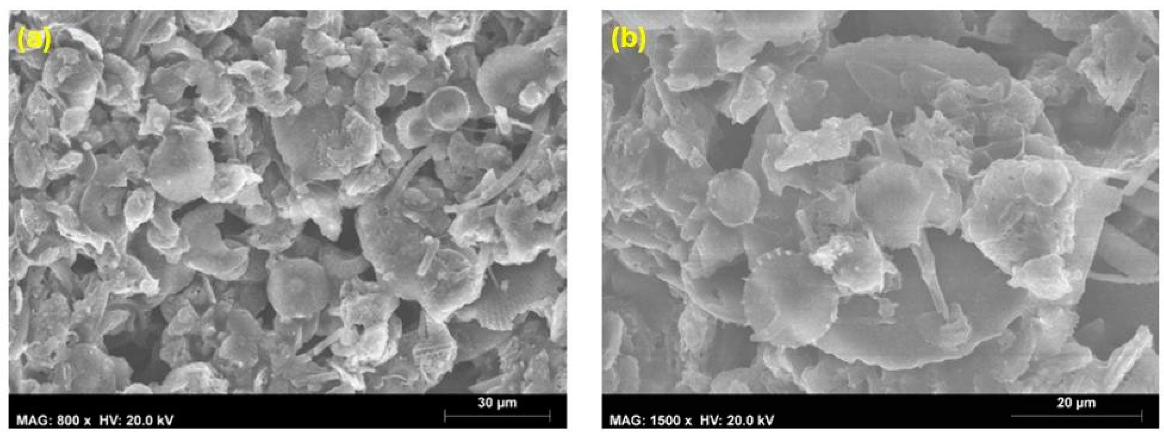 Coatings 14 00805 g013 Coatings 14 00805 g013