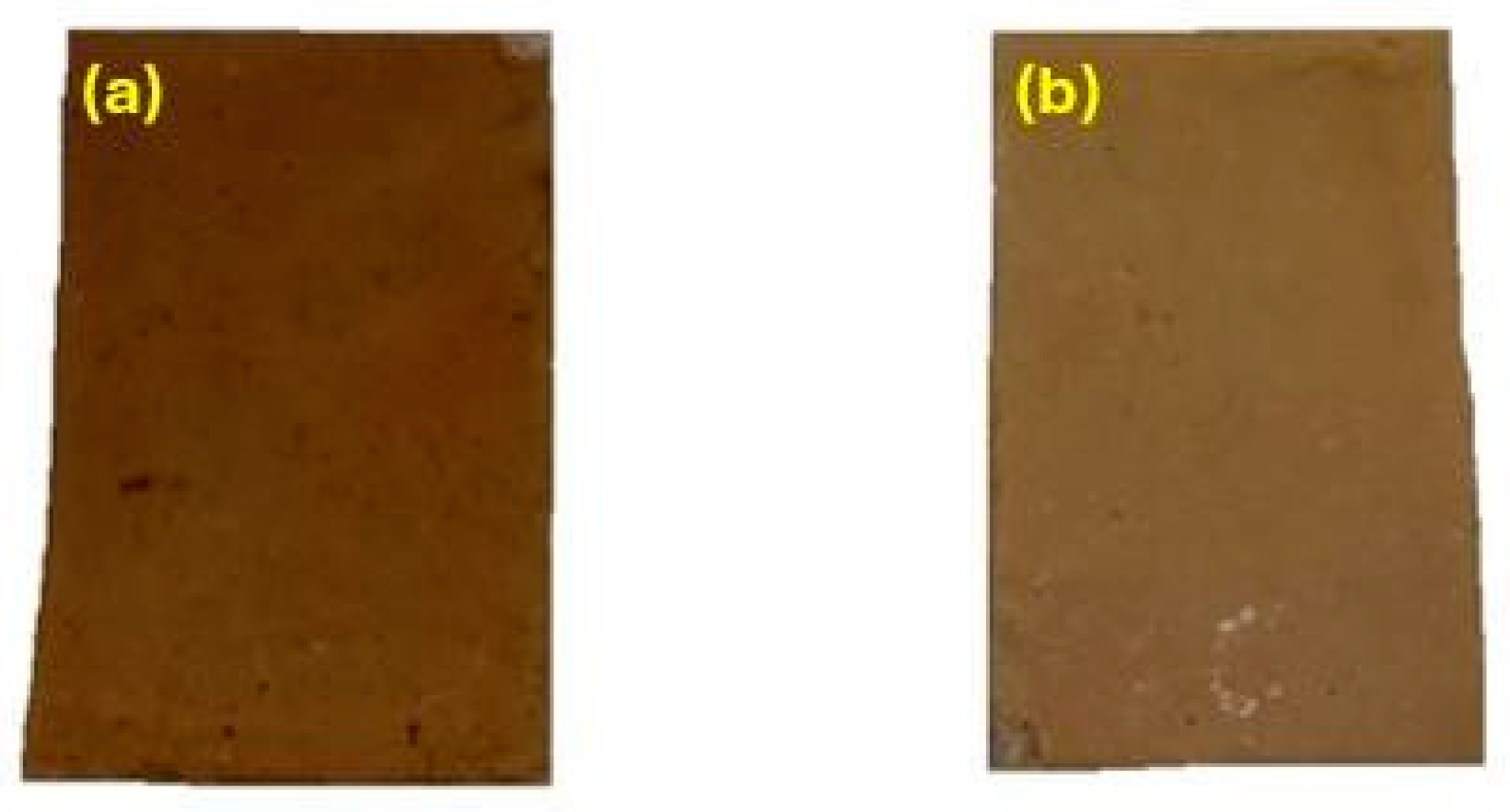 Coatings 14 00805 g027 Coatings 14 00805 g027