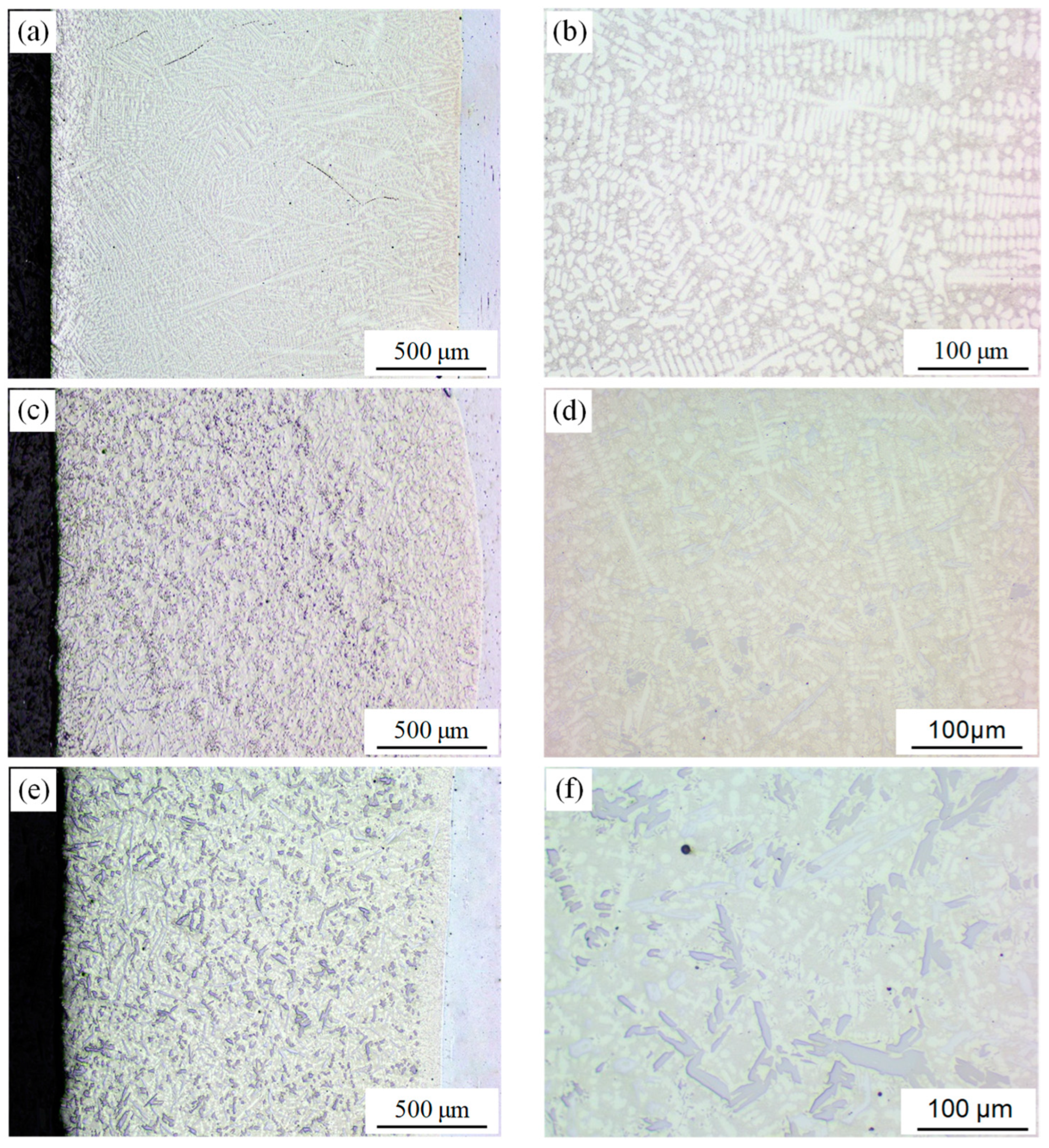 Coatings 14 00813 g004