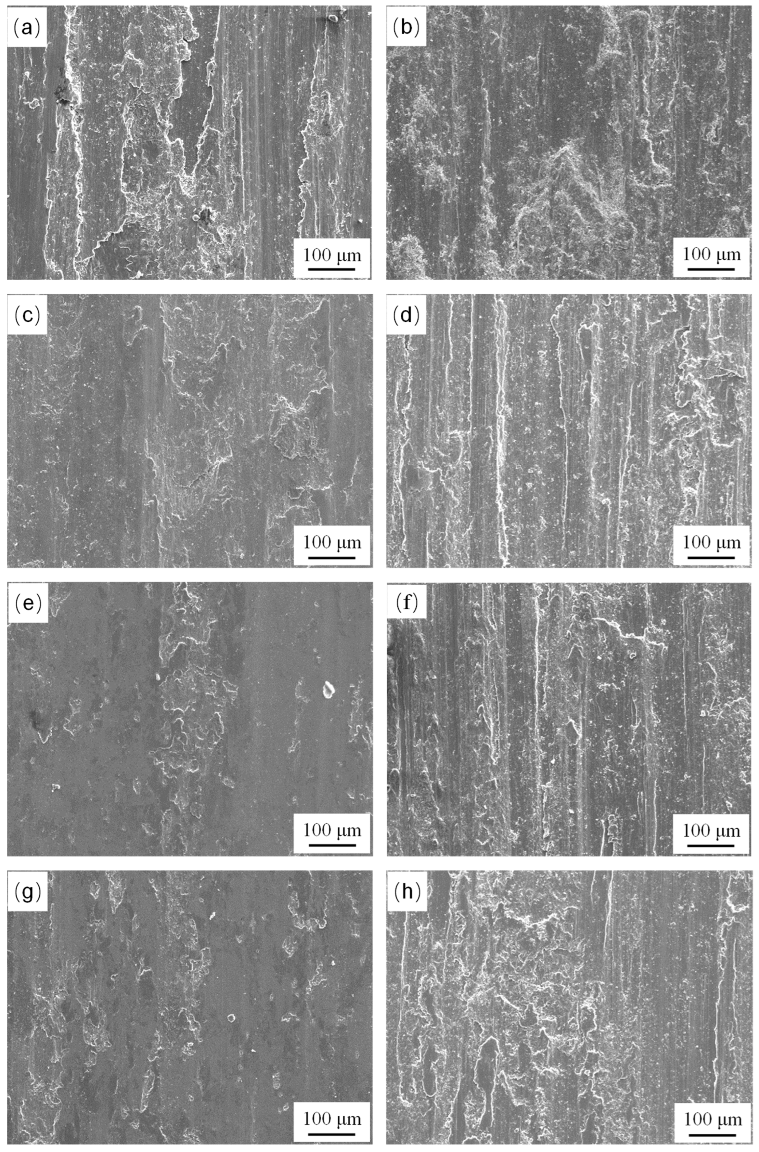 Coatings 14 00813 g013