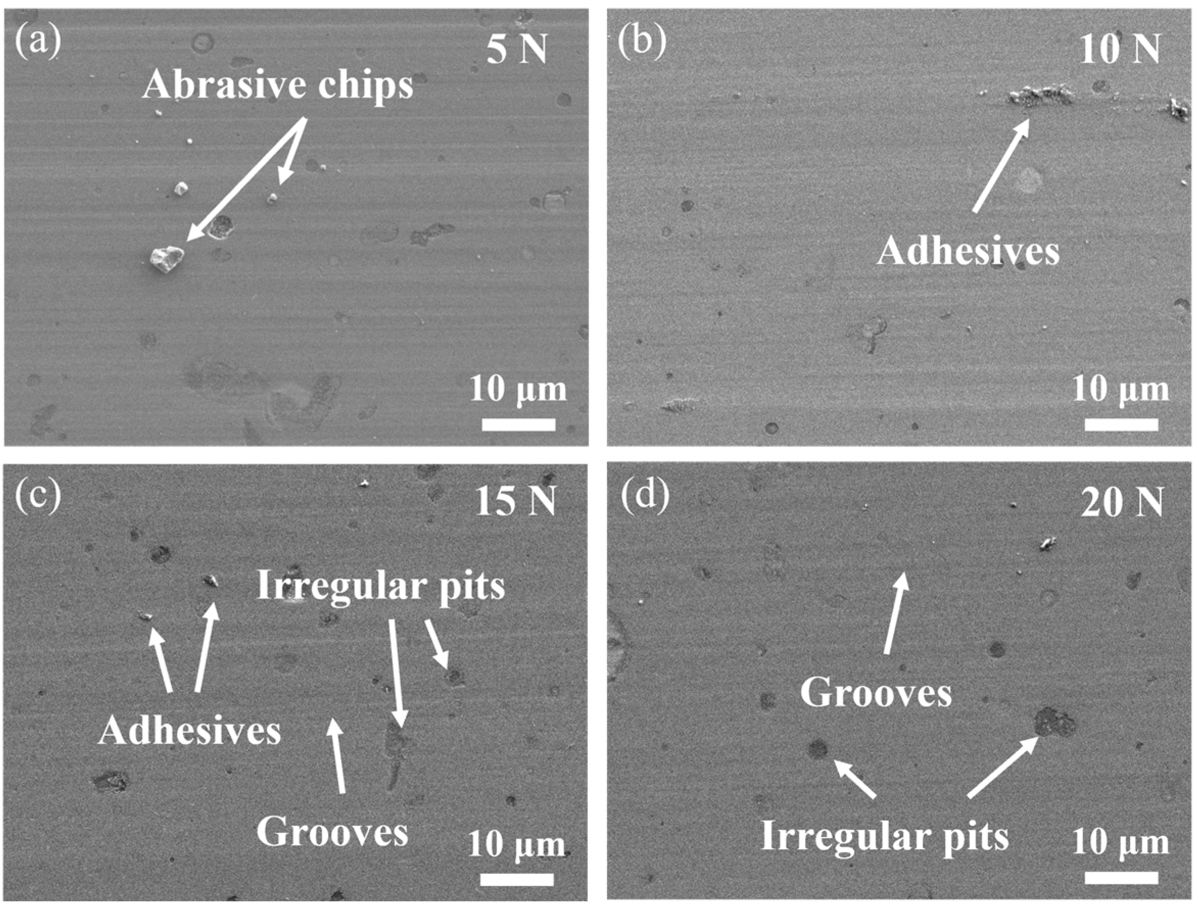 Coatings 14 00821 g005