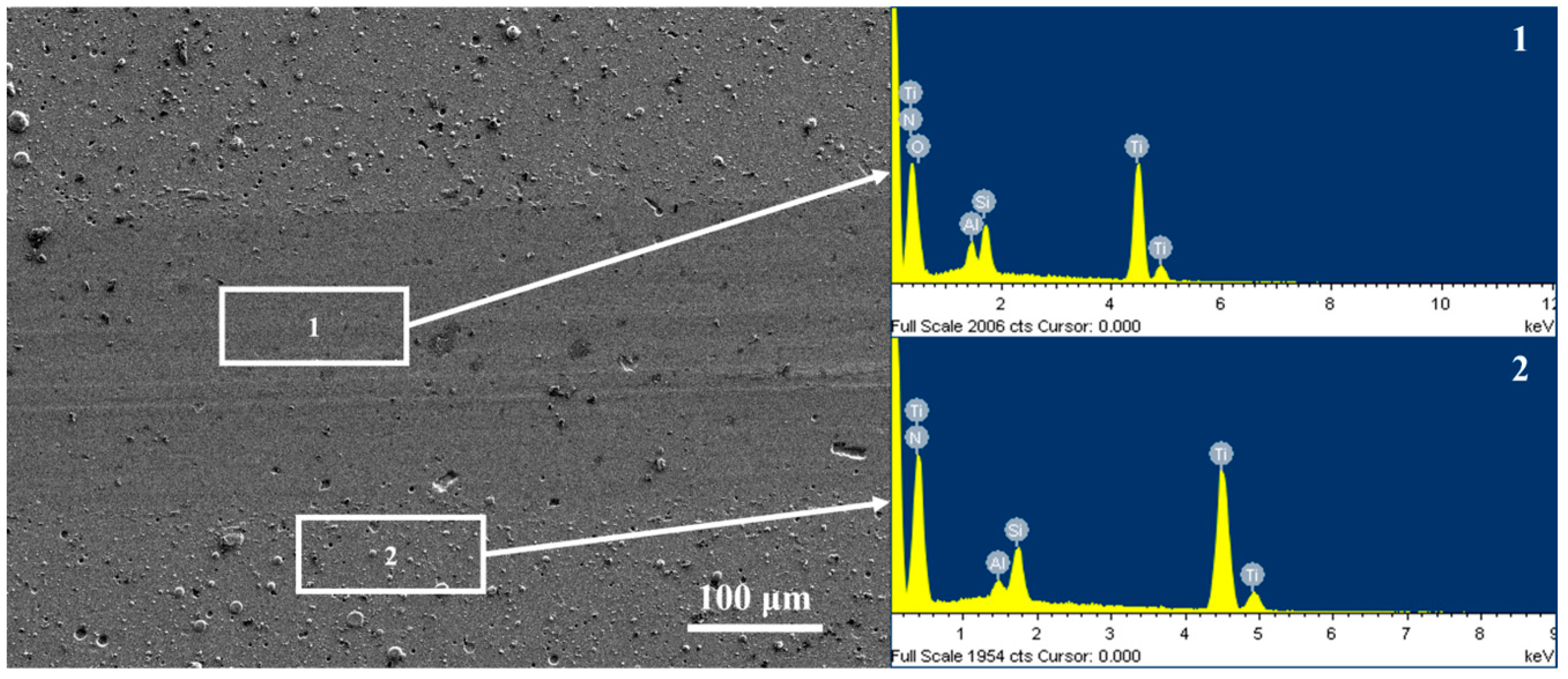 Coatings 14 00821 g006