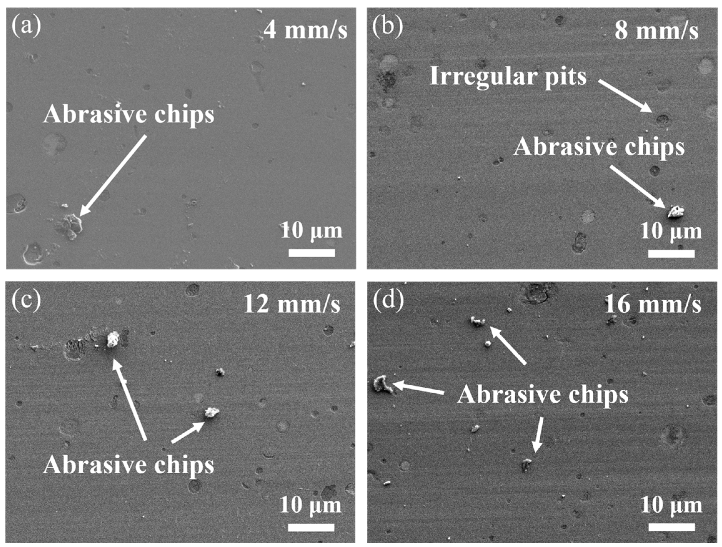 Coatings 14 00821 g010