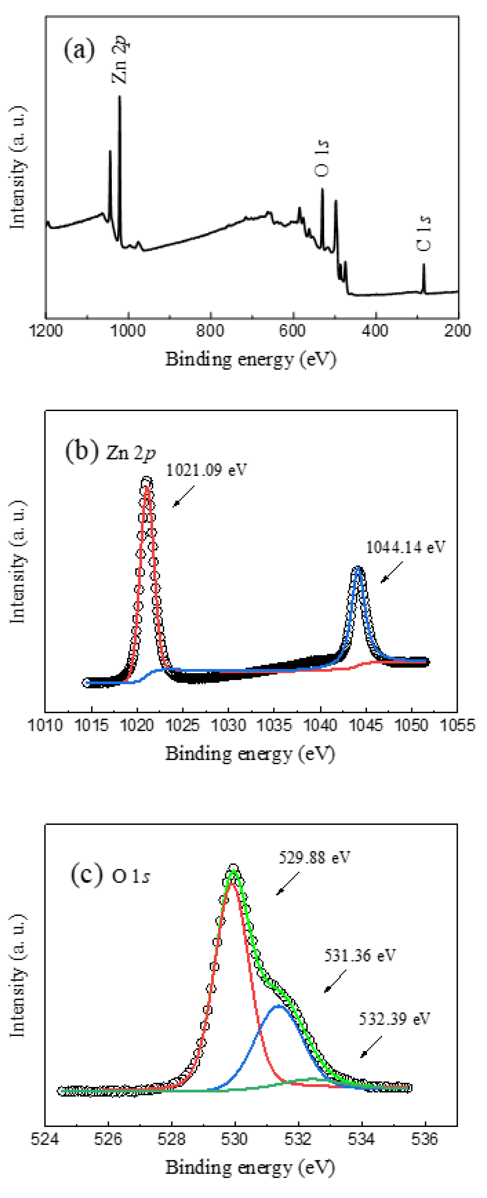 Coatings 14 00824 g004