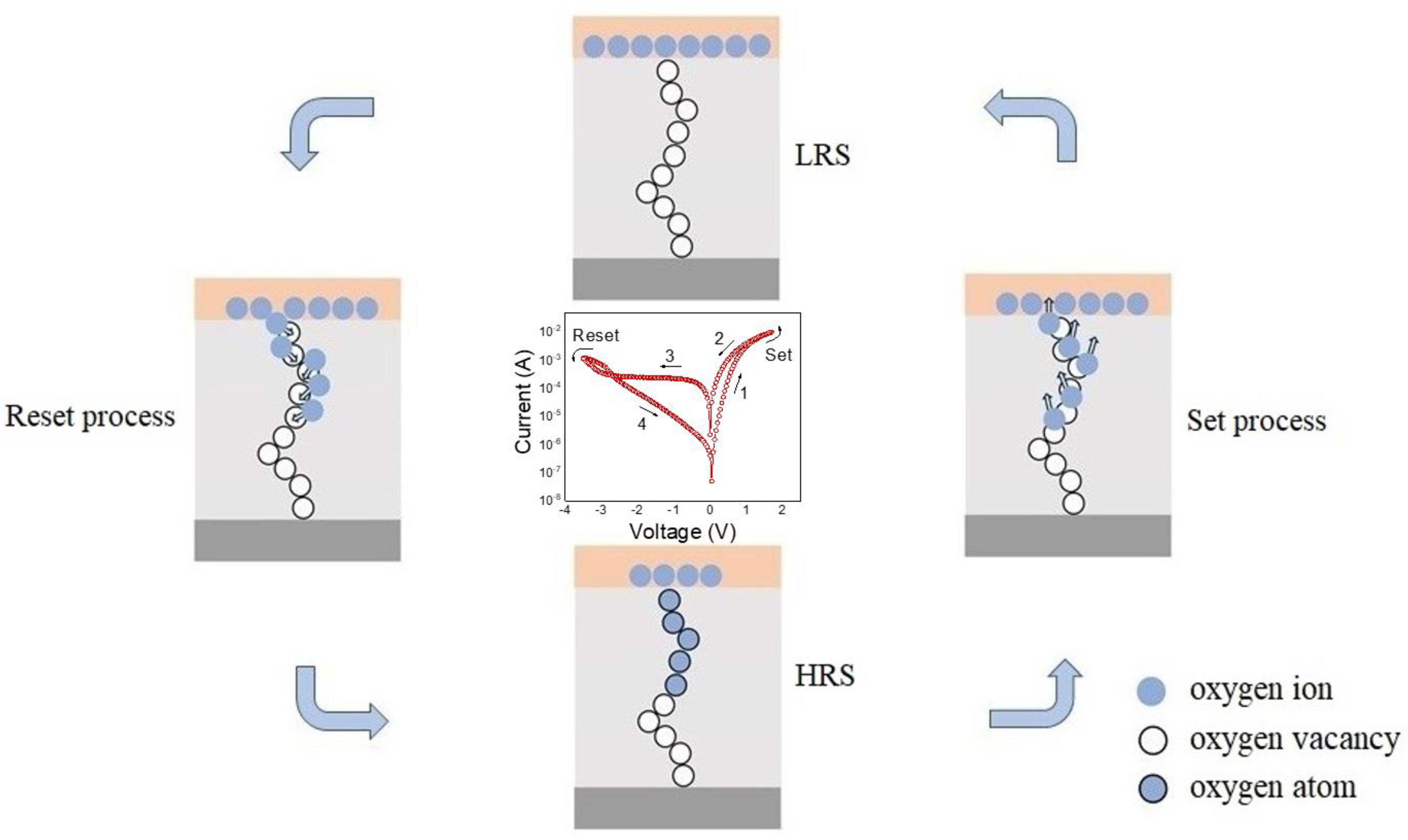 Coatings 14 00824 g007