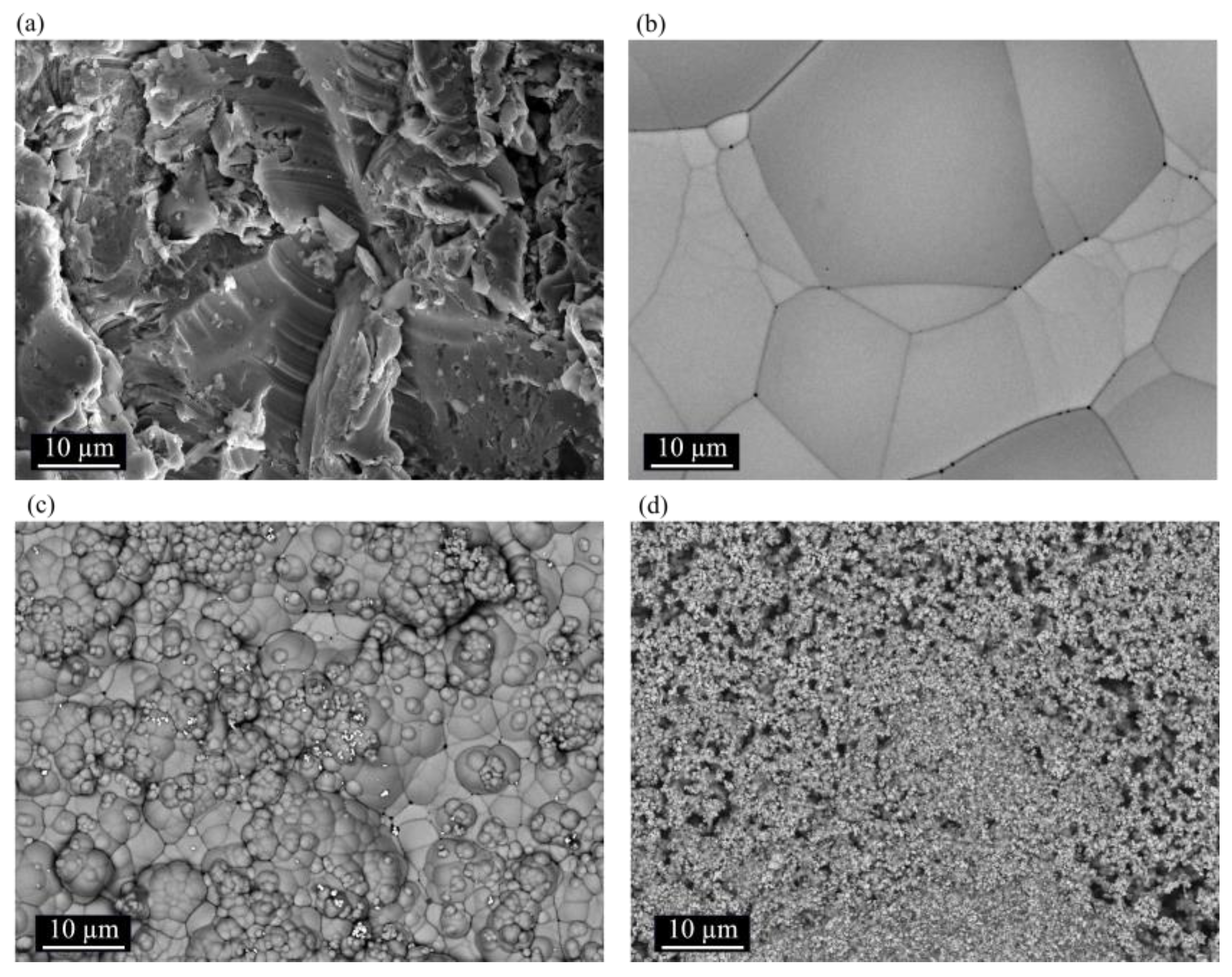 Coatings 14 00826 g016 Coatings 14 00826 g016