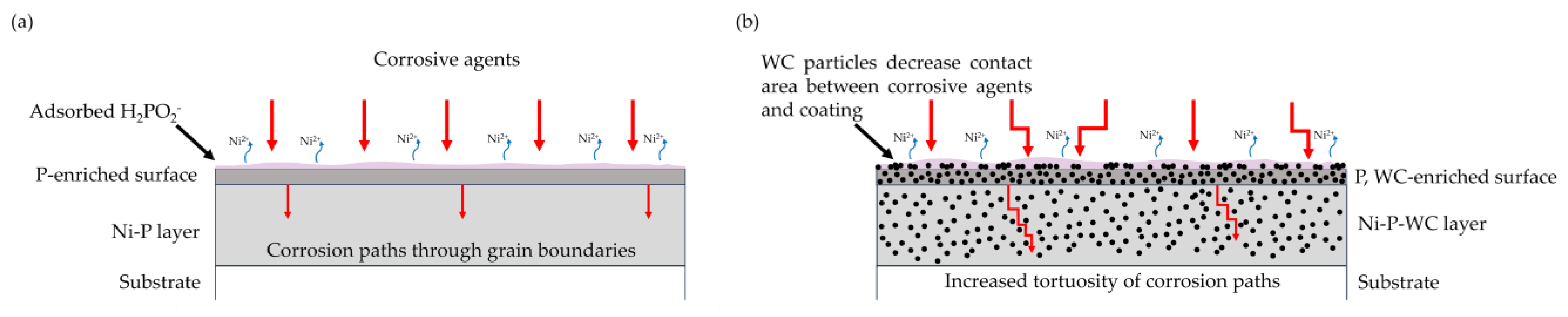 Coatings 14 00826 g024 Coatings 14 00826 g024