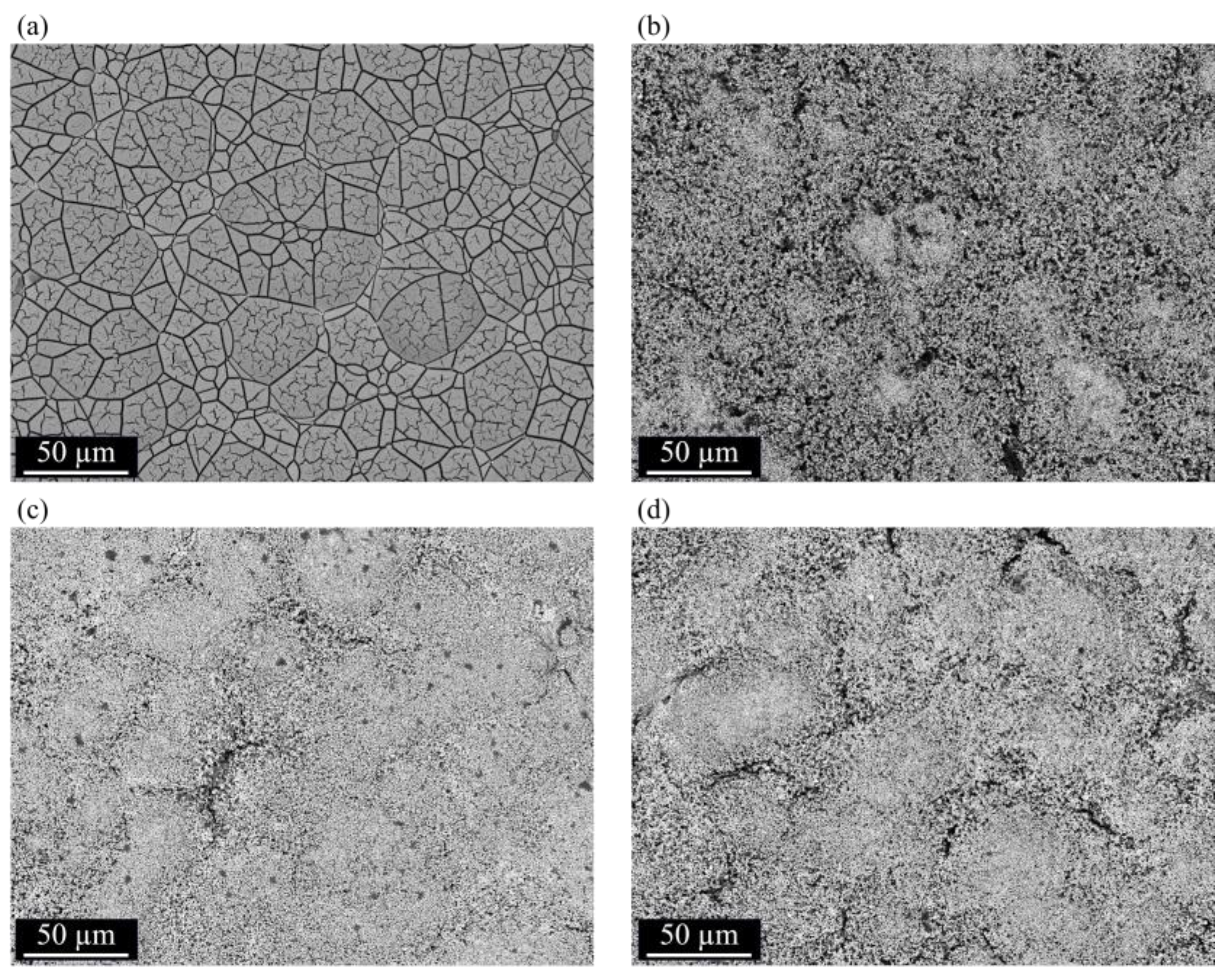 Coatings 14 00826 g025 Coatings 14 00826 g025